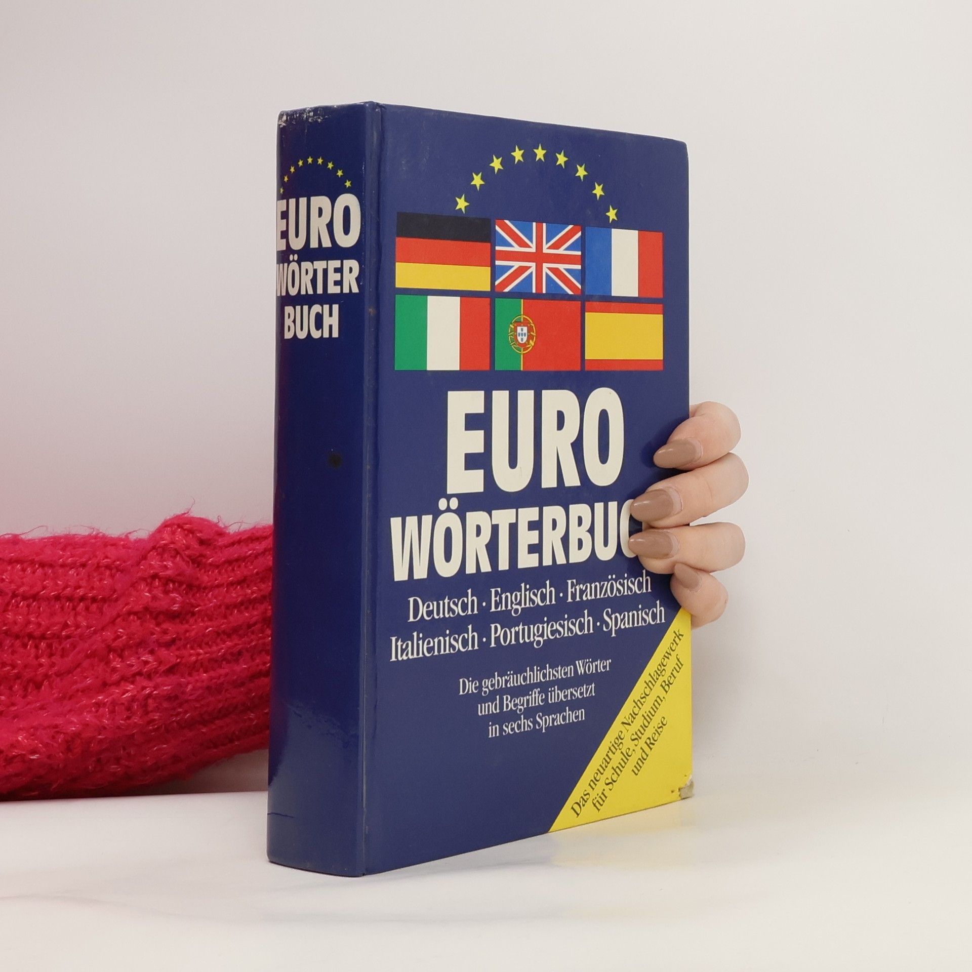 Kolektiv autorů Euro Wörterbuch
