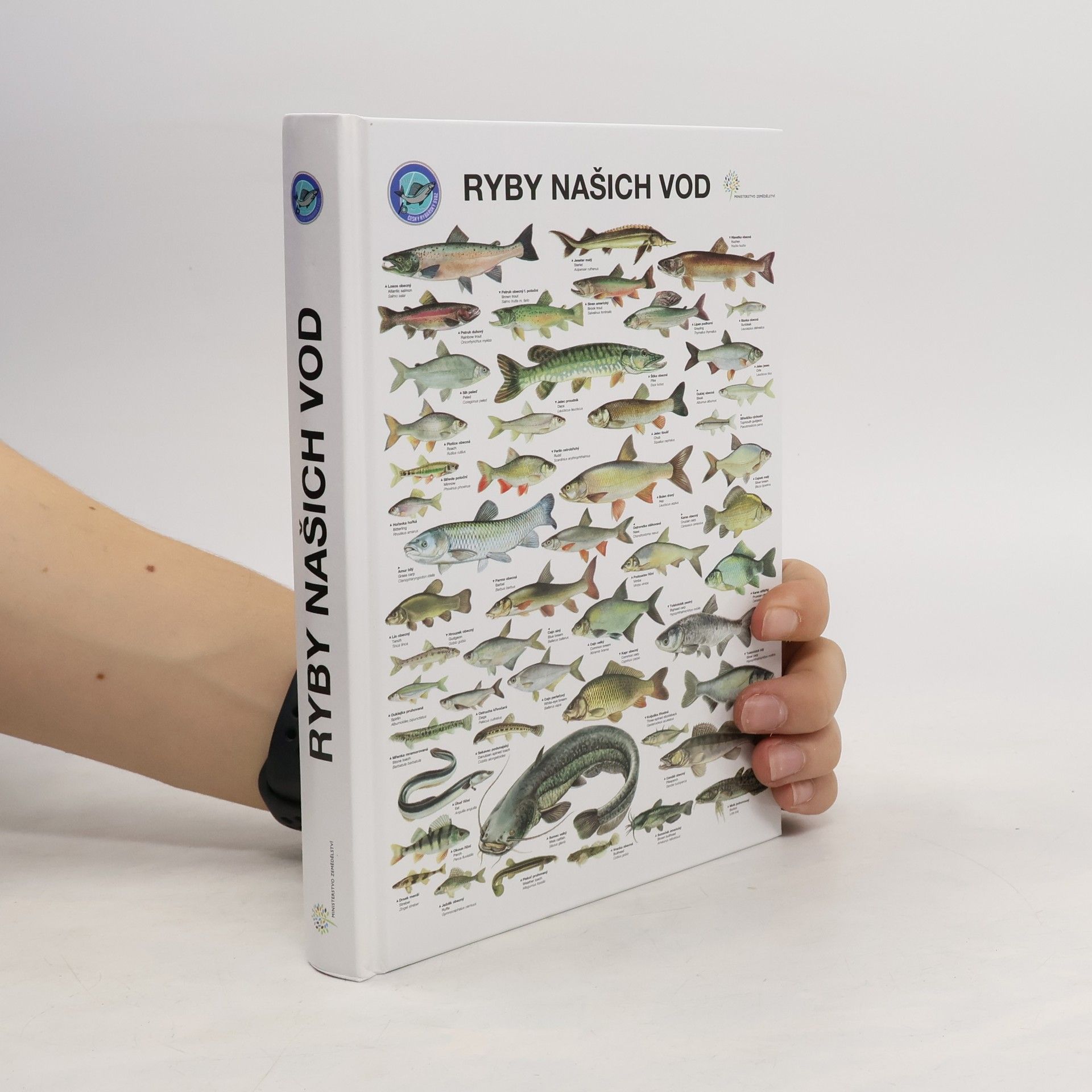 Kolektiv autorů Ryby našich vod