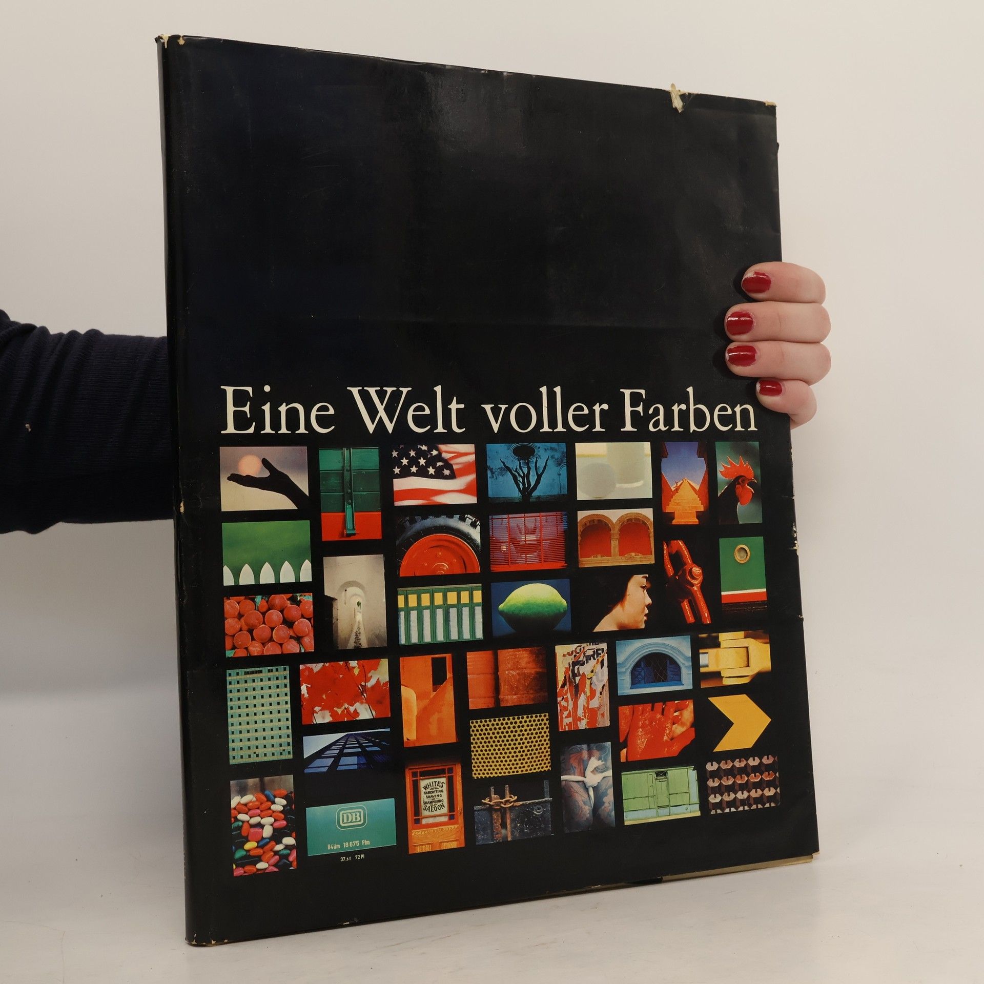 Zhang Xinxin Eine Welt voller Farben