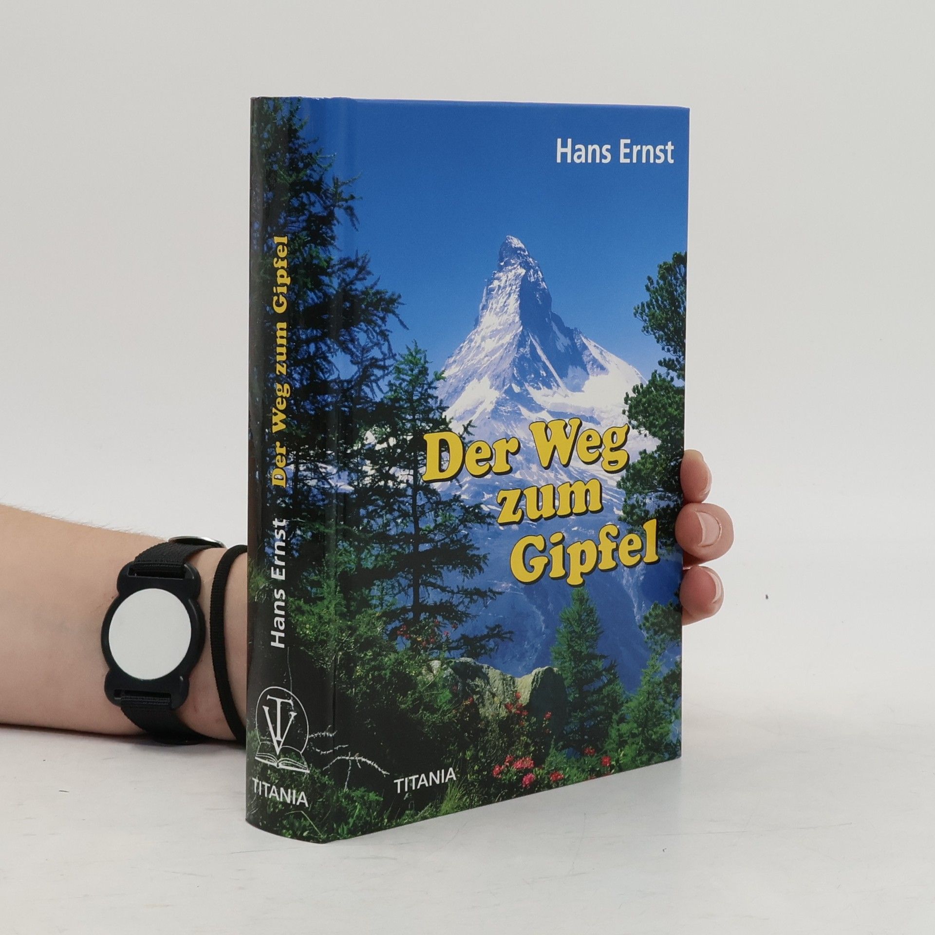 Hans Ernst Der Weg zum Gipfel