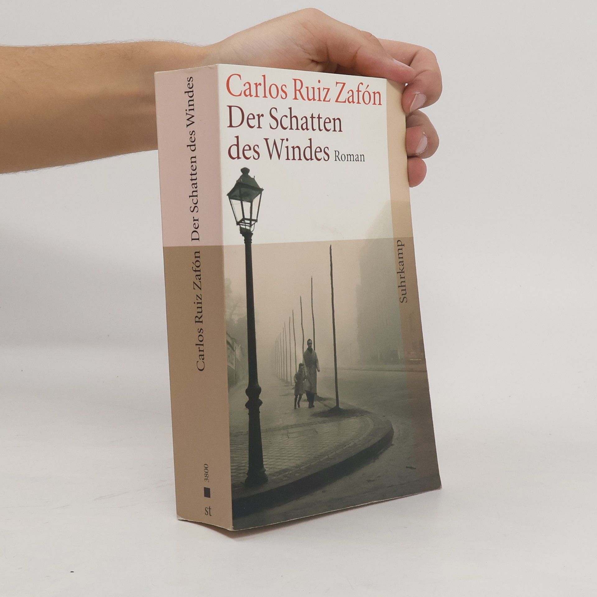 Carlos Ruiz Safon Der Schatten des Windes