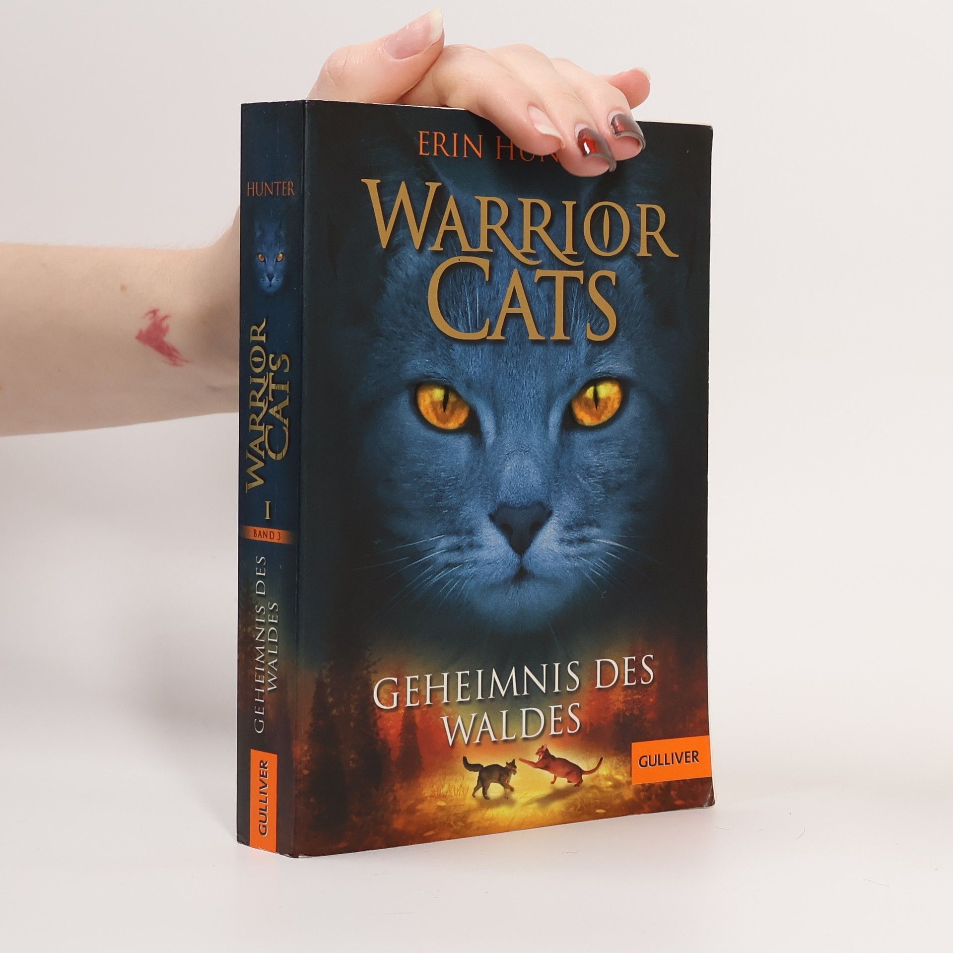 Warrior Cats. Geheimnis des Waldes