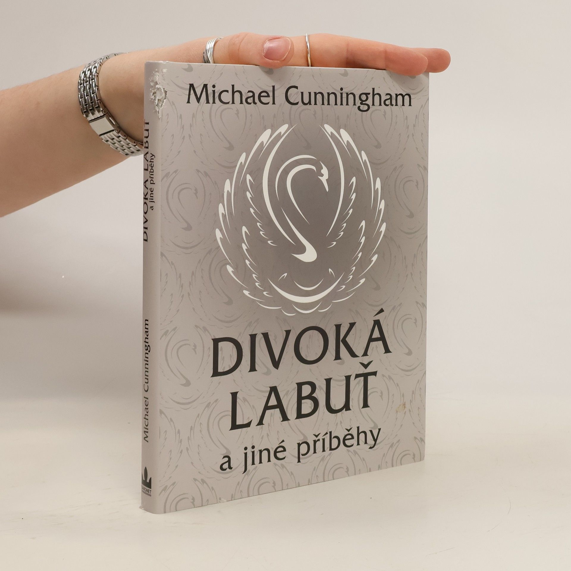 Michael Cunningham Divoká labuť a jiné příběhy