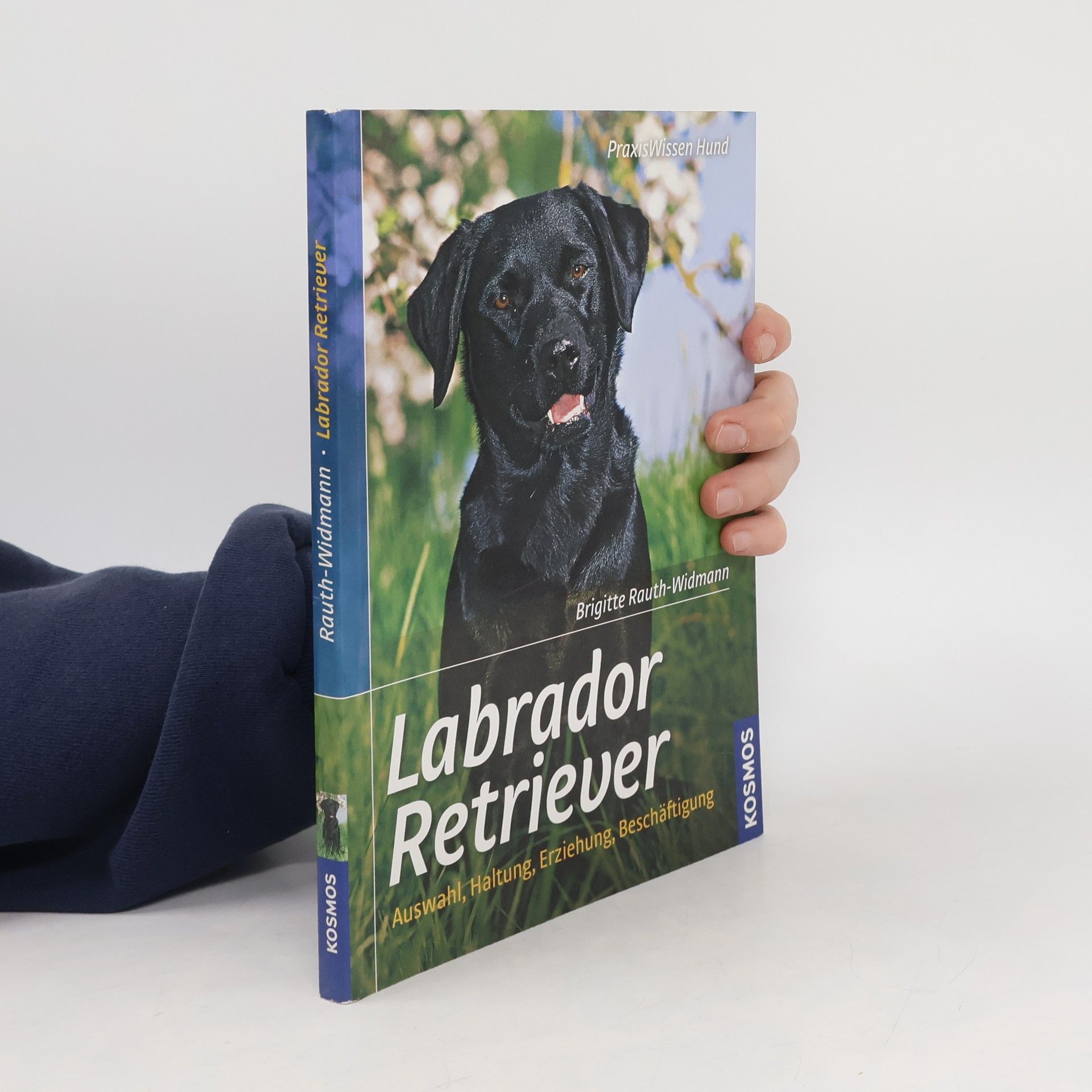 Brigitte Rauth Widmann Labrador Retriever