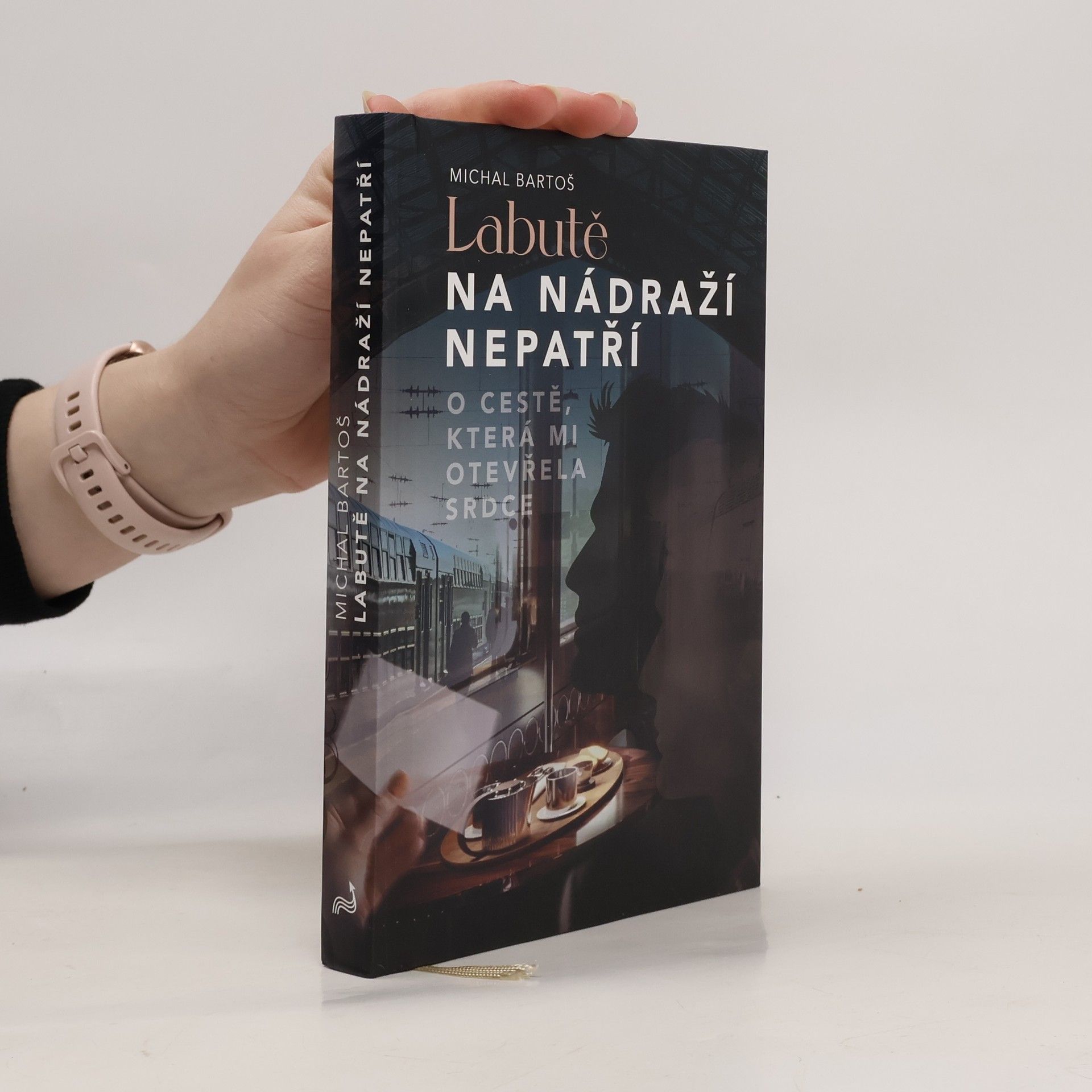 Labutě na nádraží nepatří