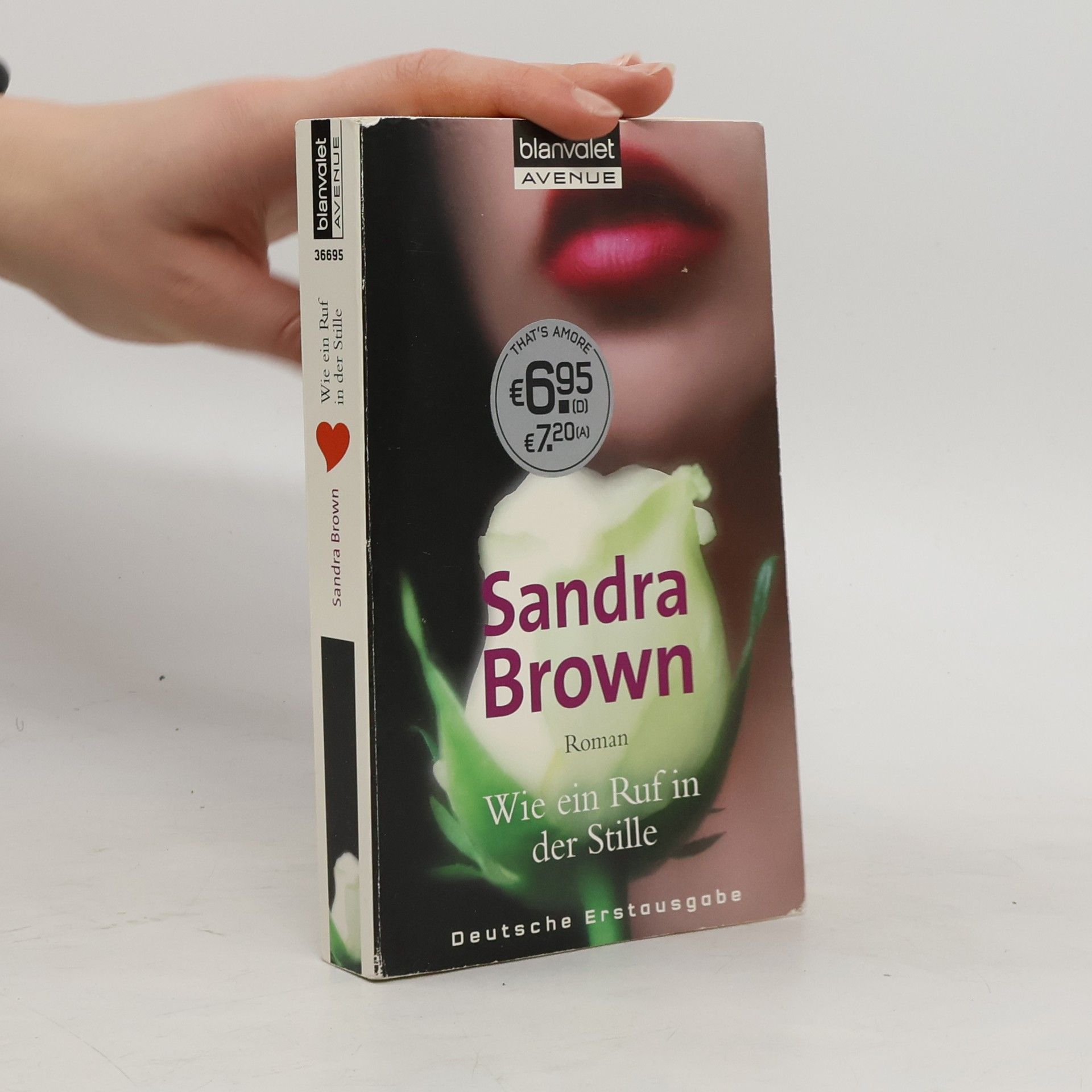 Sandra Brown Wie ein Ruf in der Stille