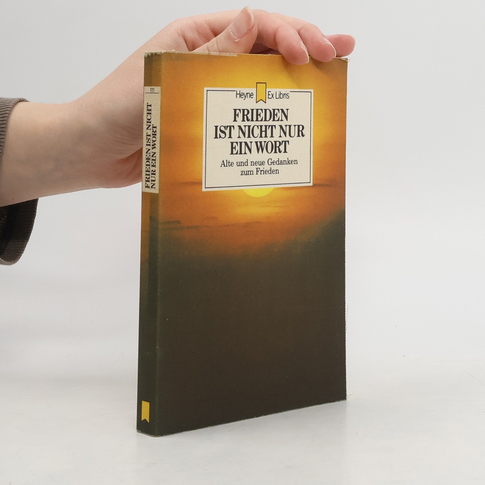 Angela Hopf Frieden ist nicht nur ein Wort