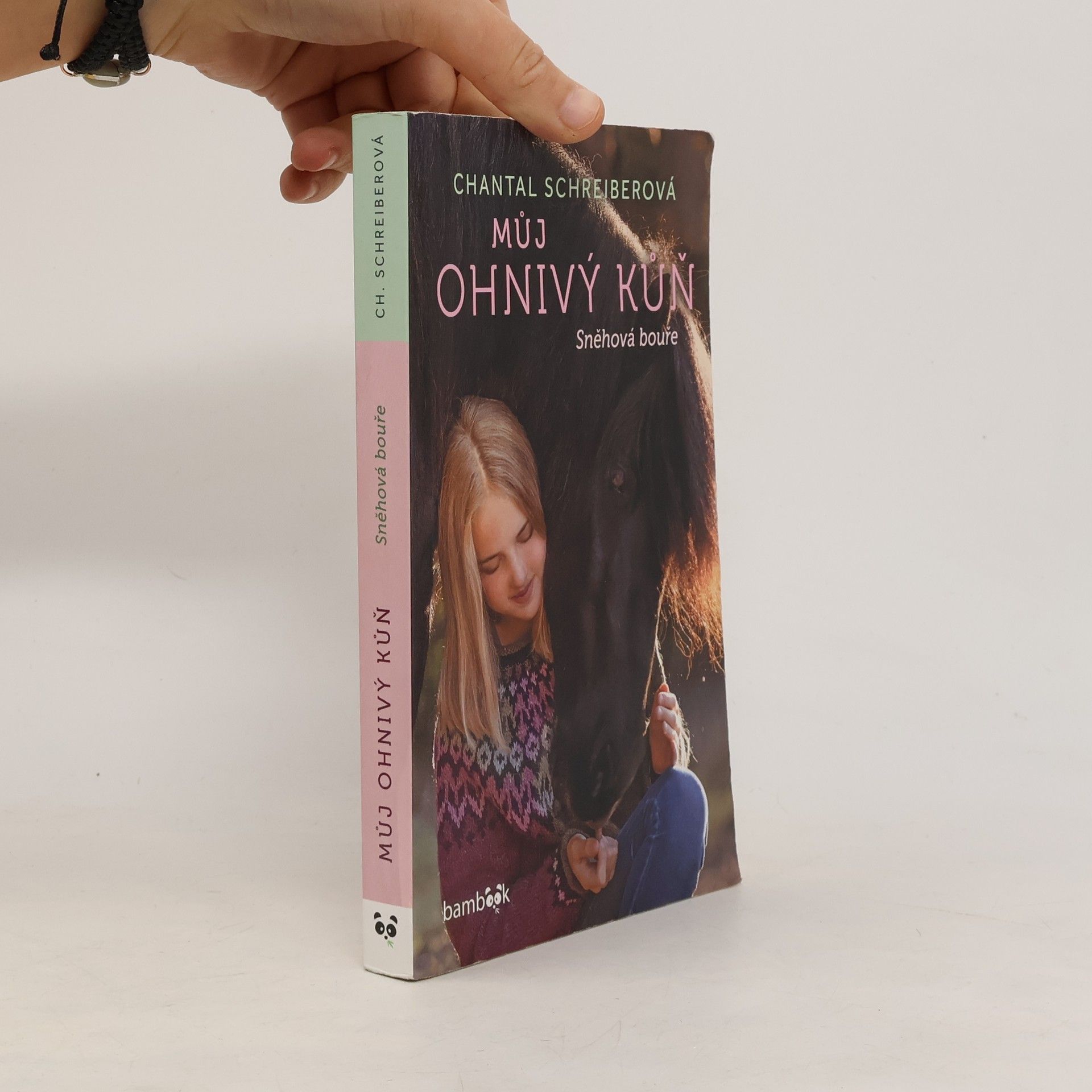 Eva Kadlecová Můj ohnivý kůň. Sněhová bouře