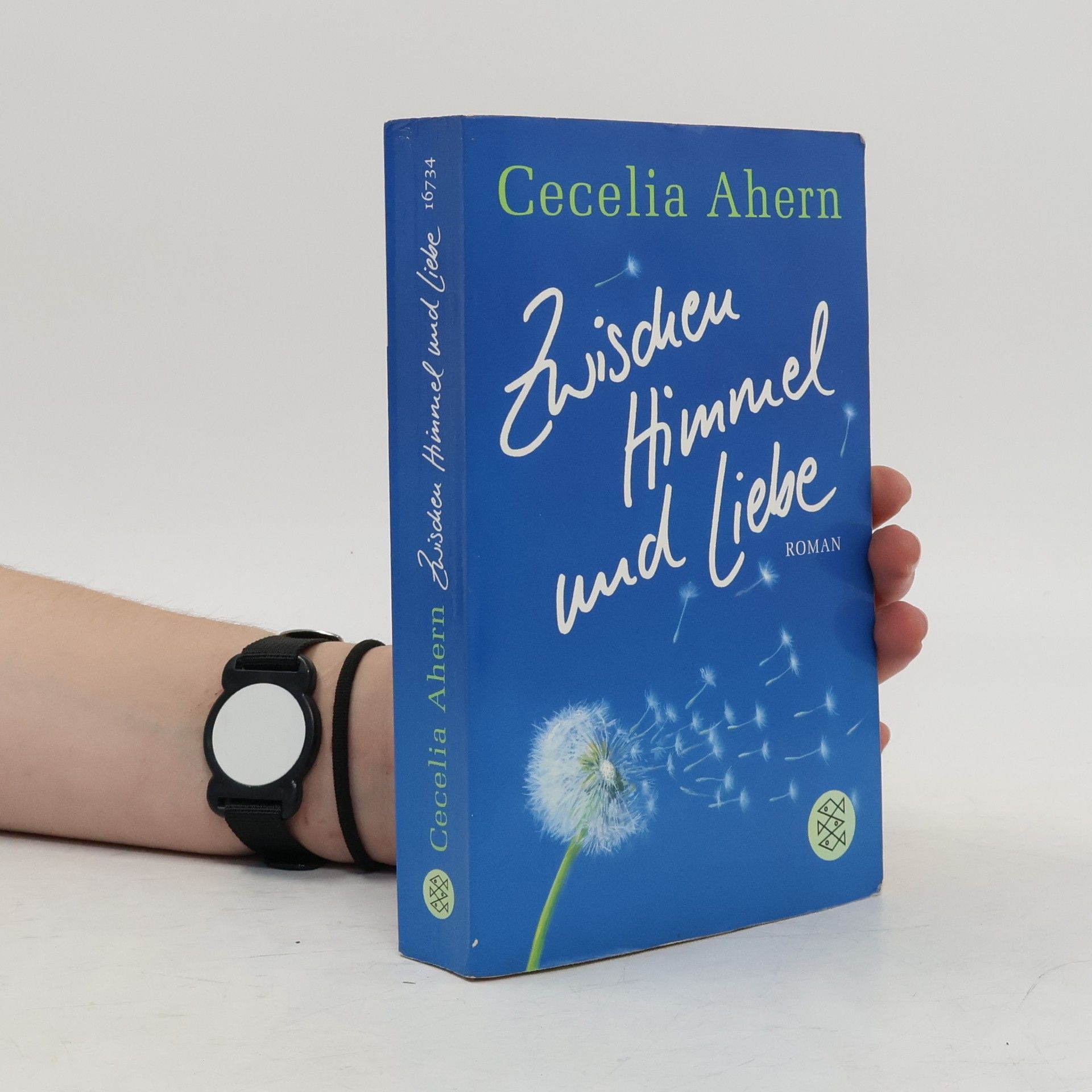 Cecelia Ahern Zwischen Himmel und Liebe