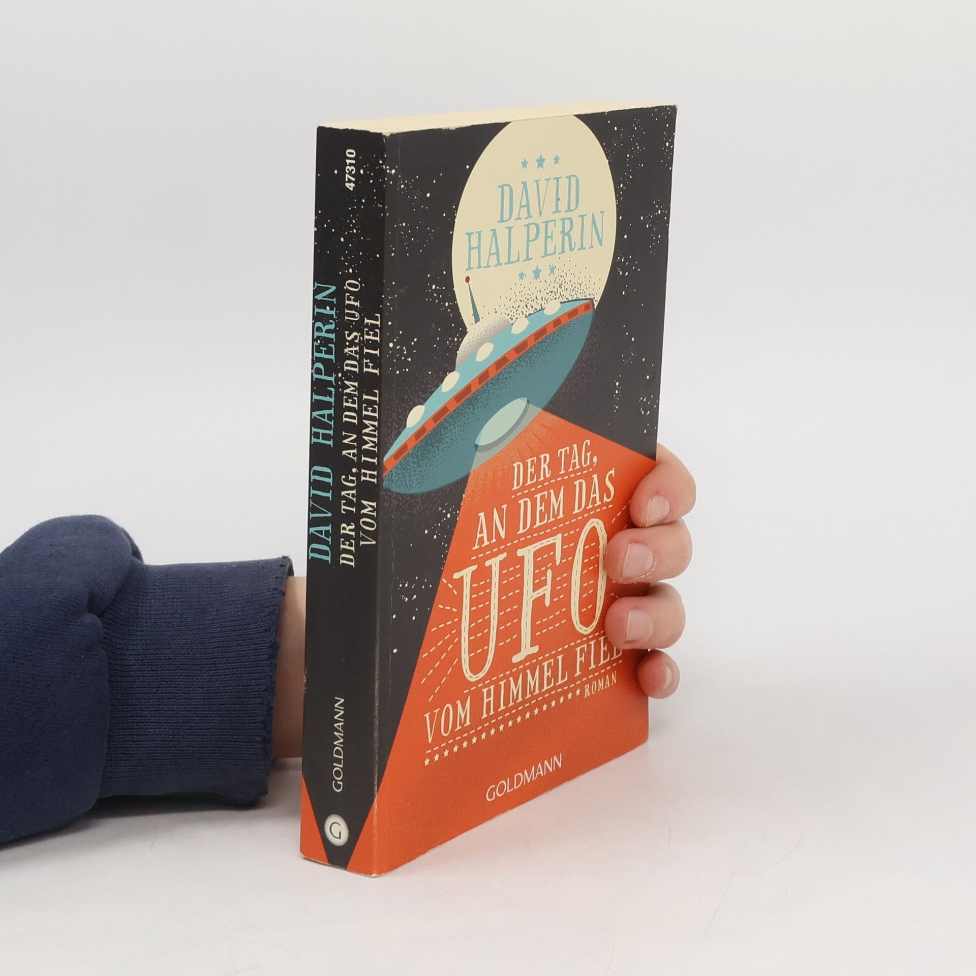 David Halperin Der Tag, an dem das UFO vom Himmel fiel