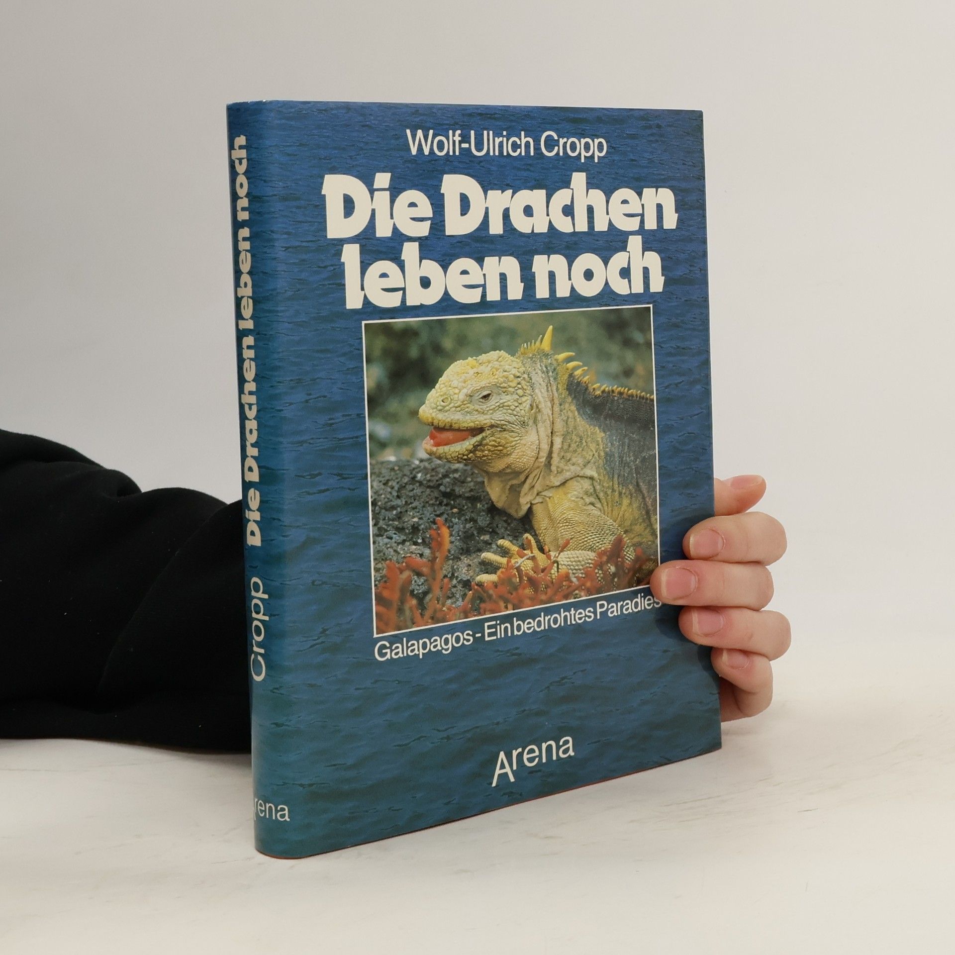 Wolf-Ulrich Scholz Die Drachen leben noch
