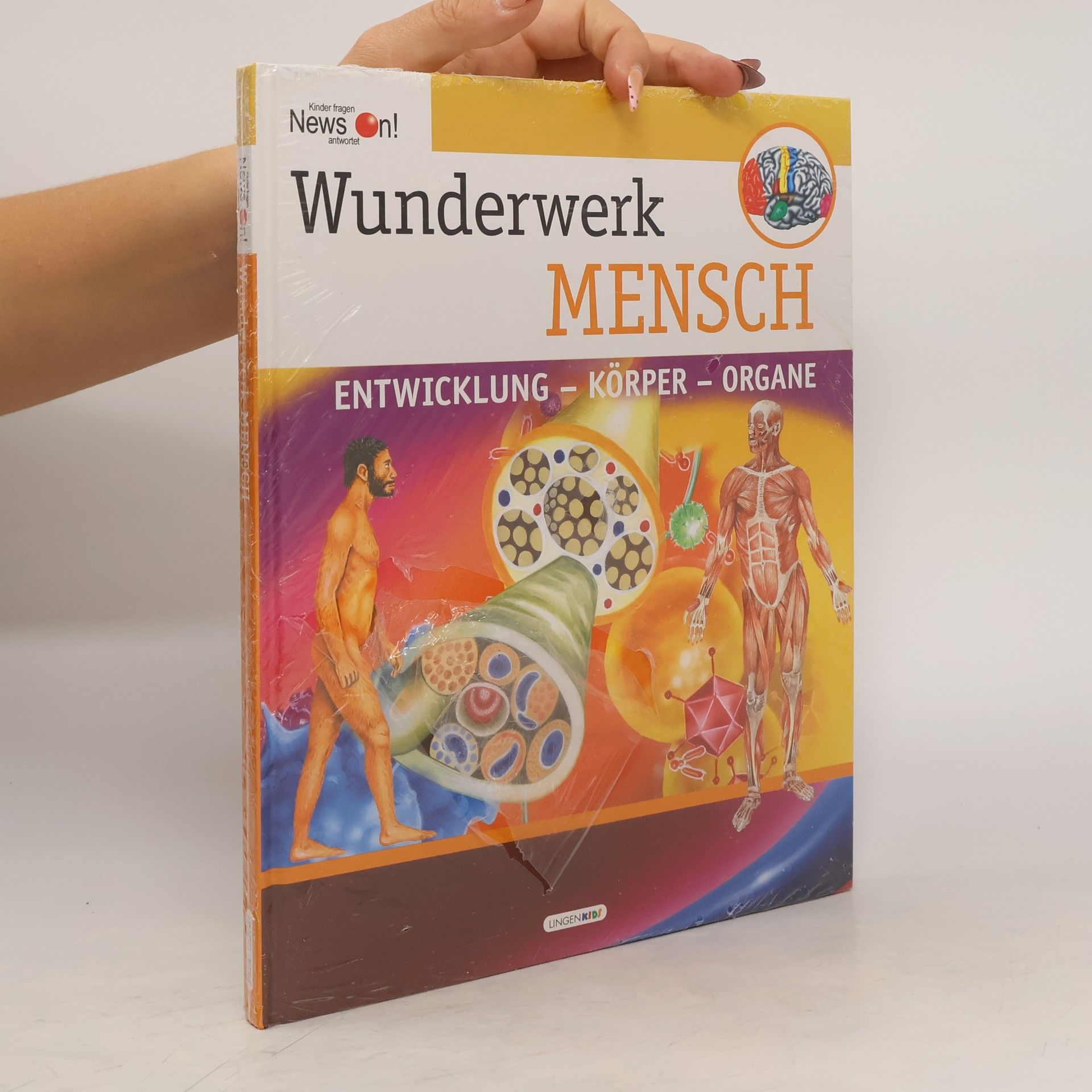 Autorenkollektiv Wunderwerk Mensch. Entwicklung. Körper. Organe