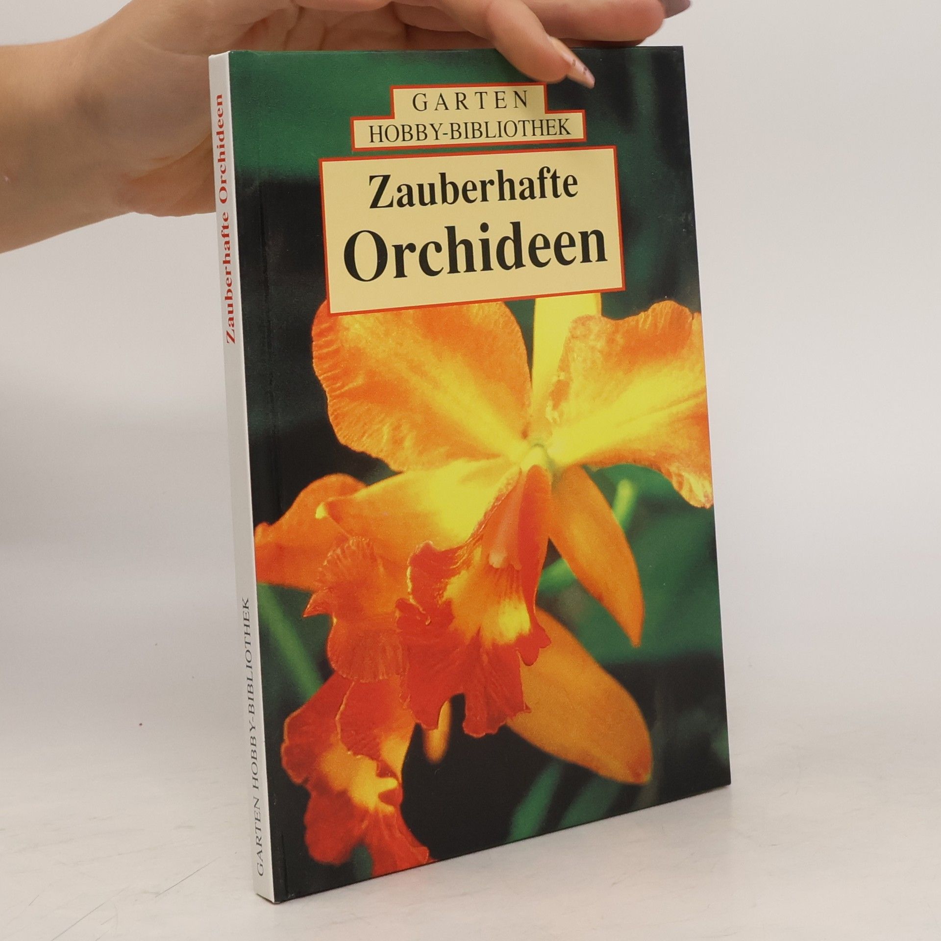 Ute York Zauberhafte Orchideen