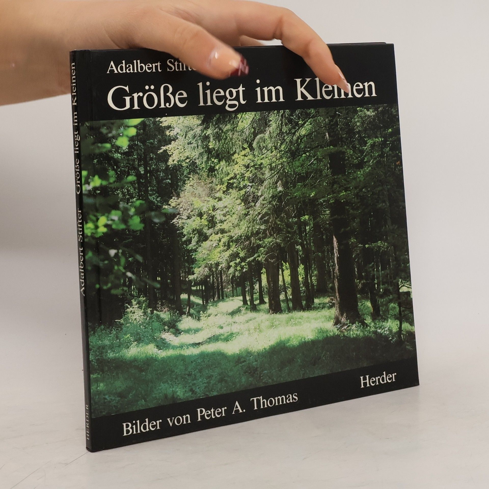 Adalbert Stifter Grösse liegt im Kleinen