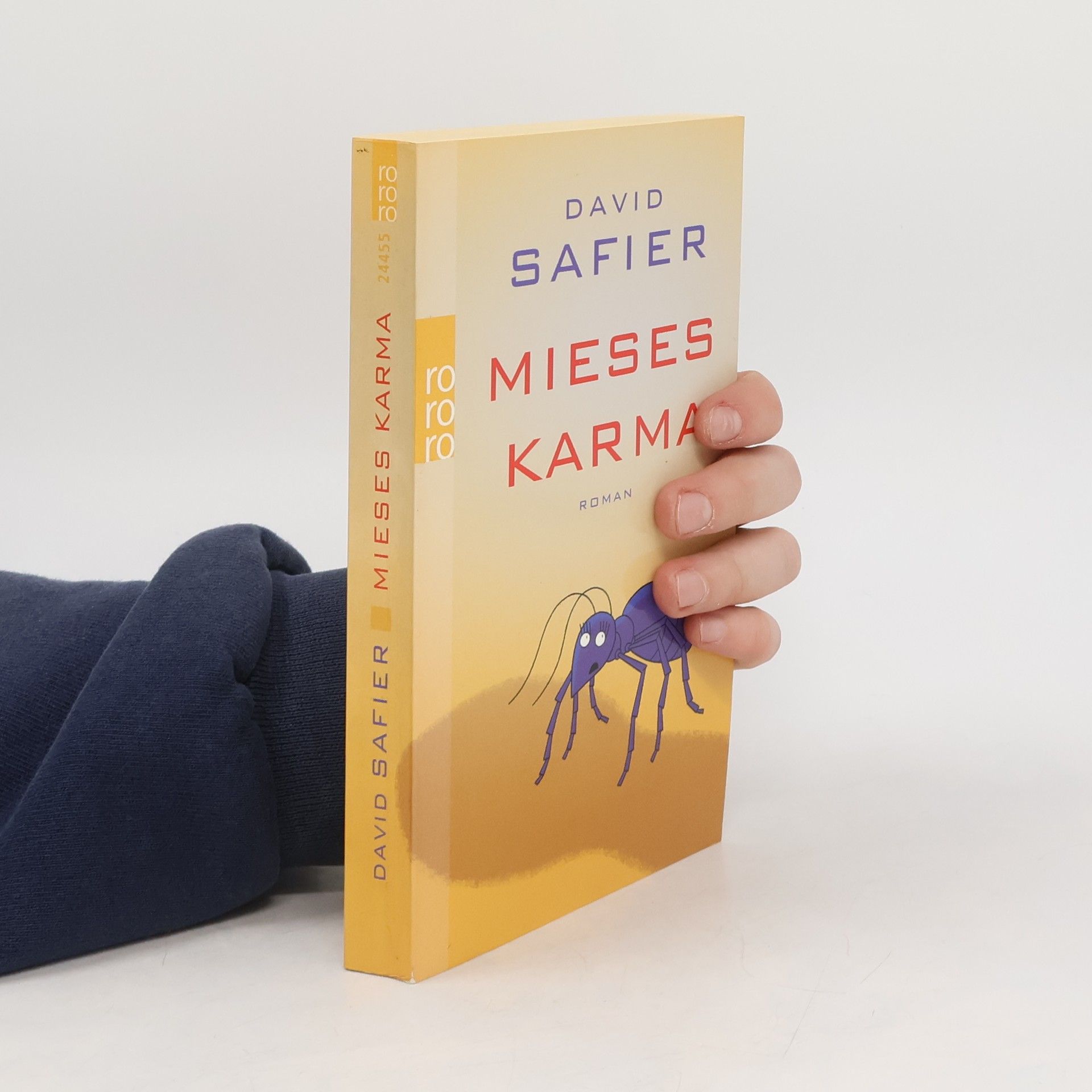 David Safier Mieses Karma