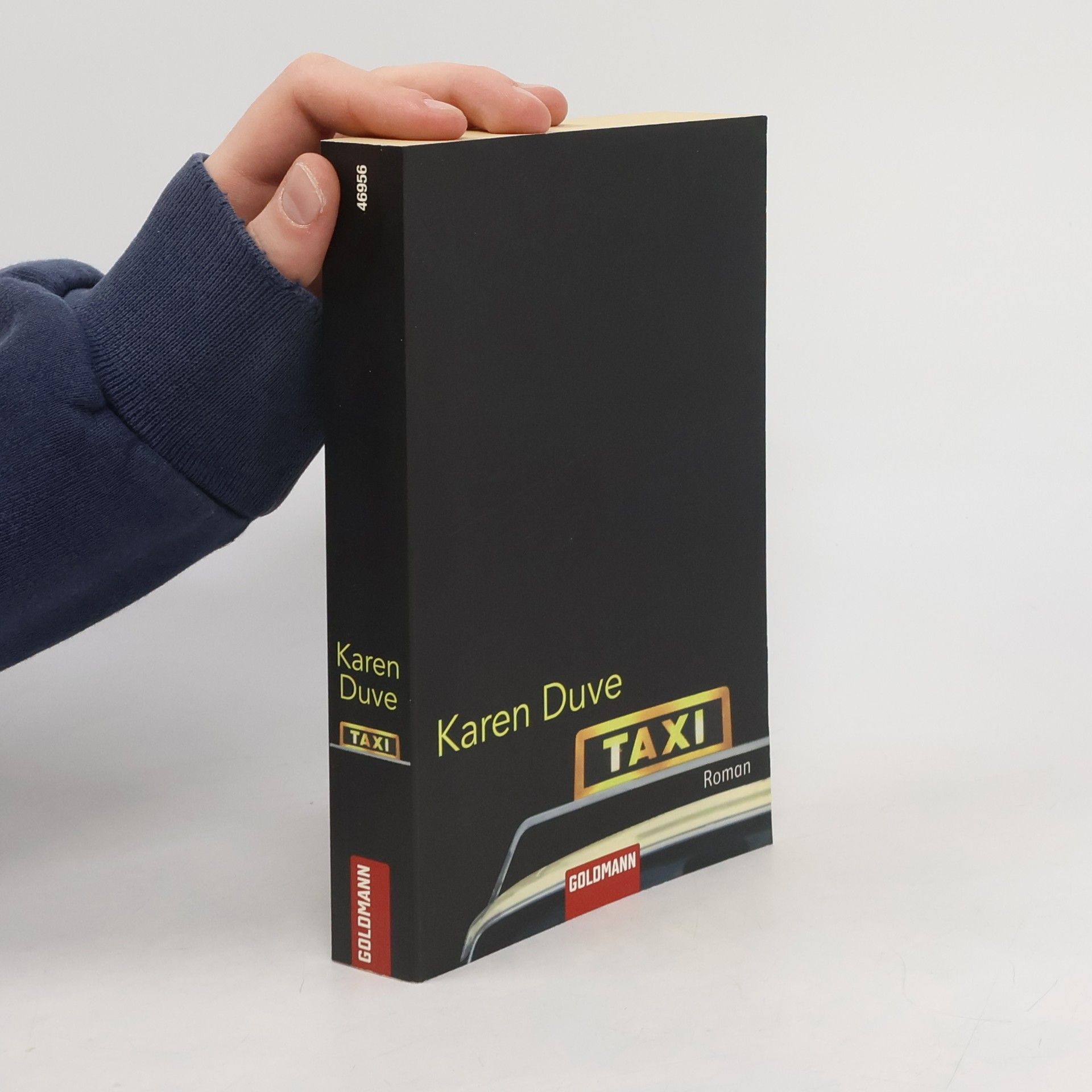 Karen Duve Taxi