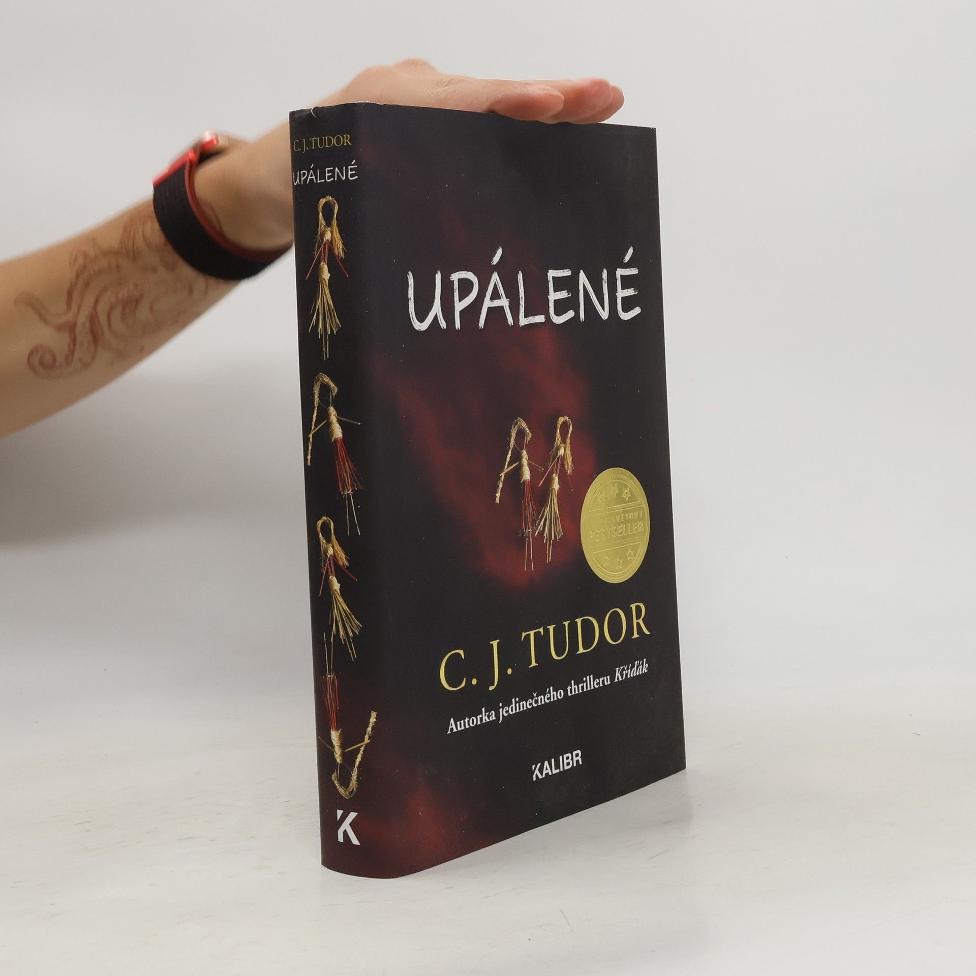 C. J. Tudor Upálené