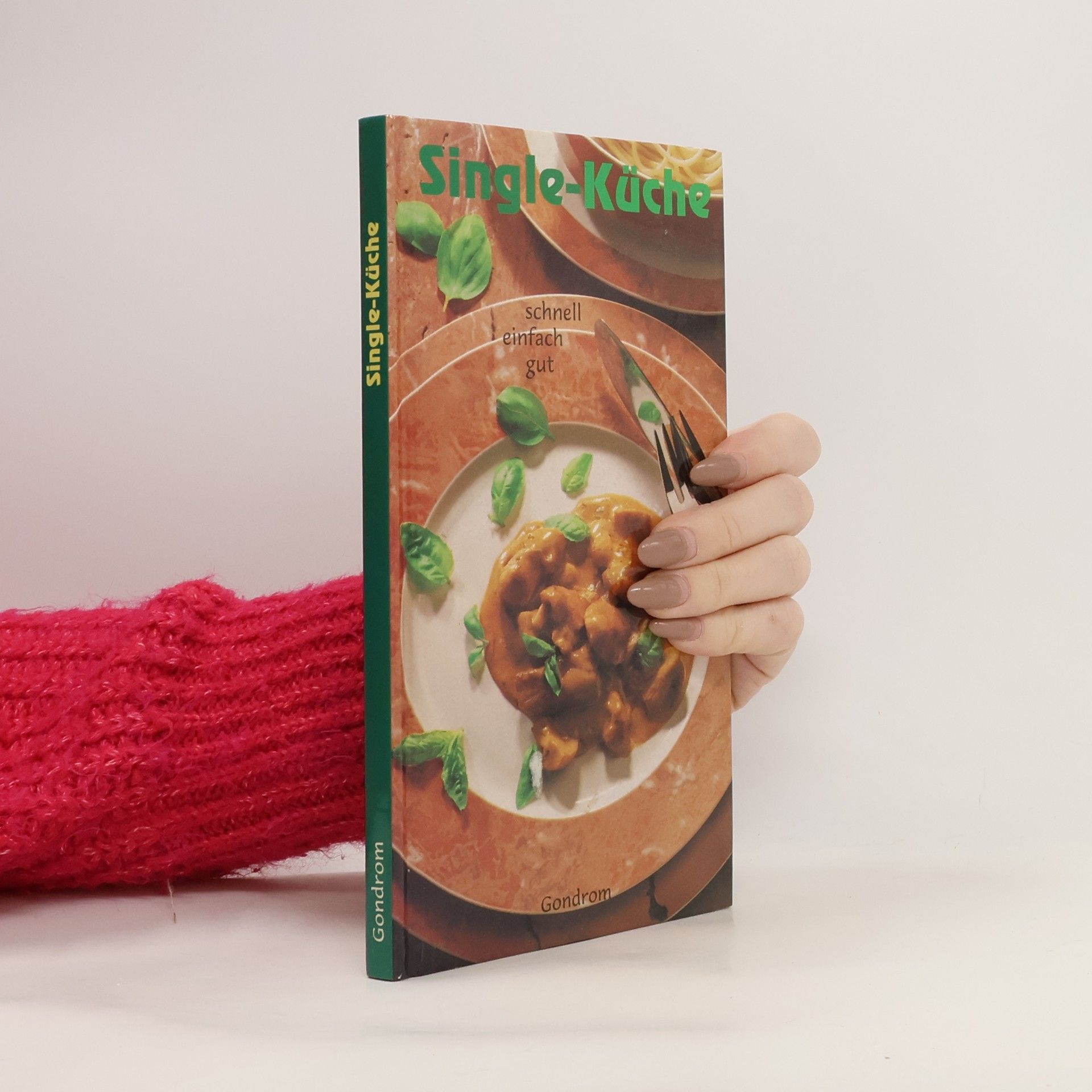 Kolektiv autorů Single-Küche