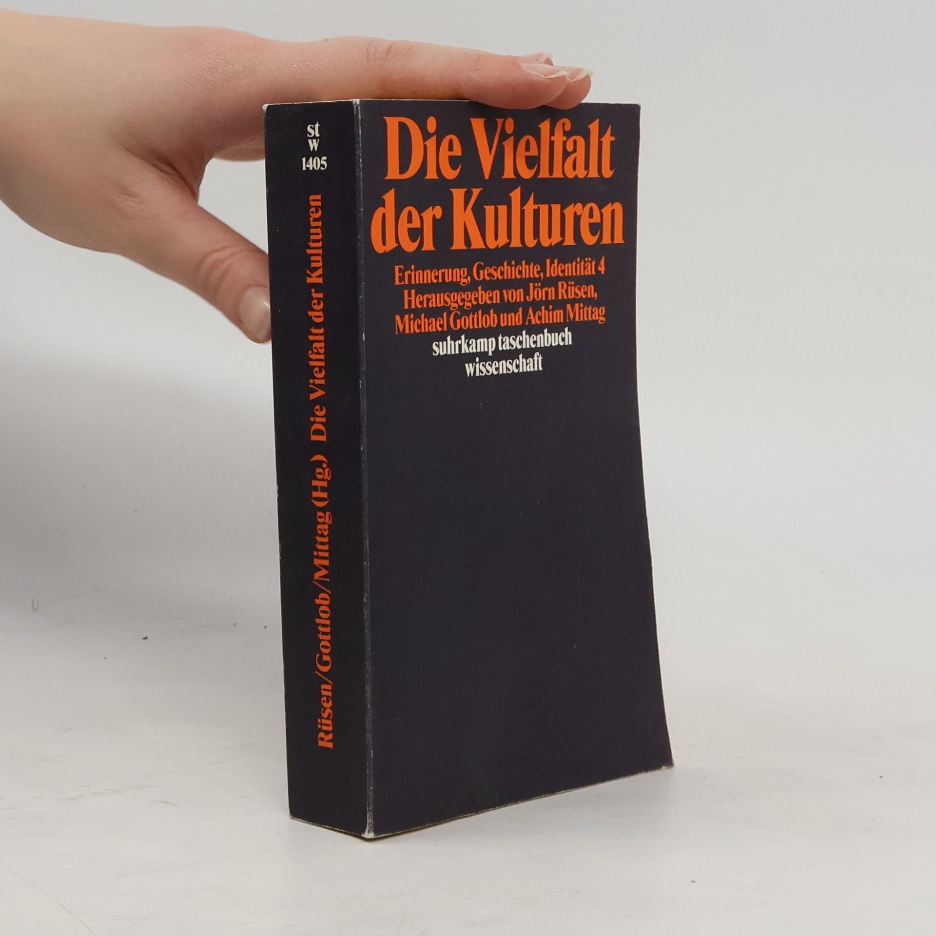 Jörn Rüsen Die Vielfalt der Kulturen