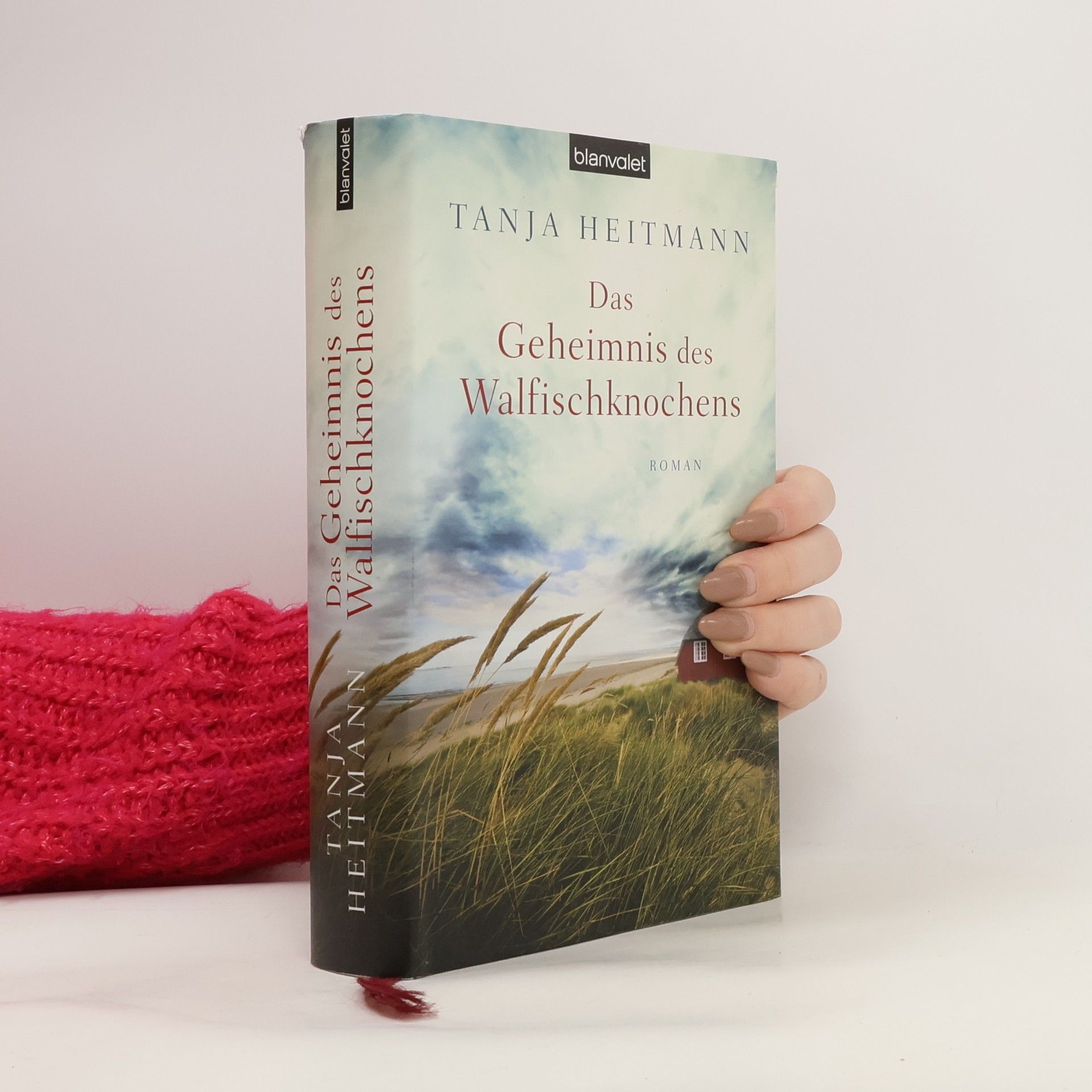 Tanja Heitmann Das Geheimnis des Walfischknochens