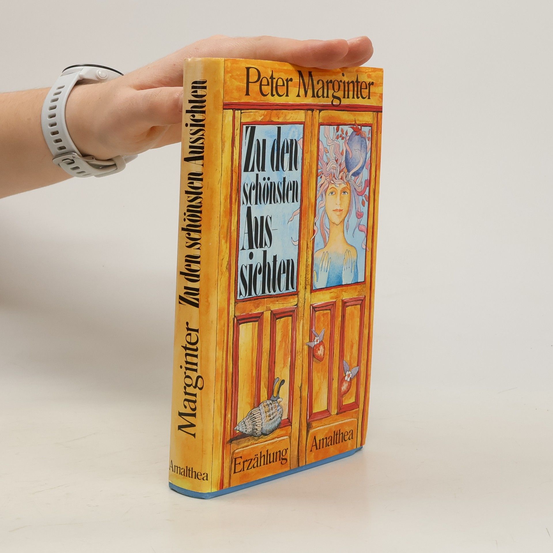 Peter Marginter Zu den schönsten Aussichten