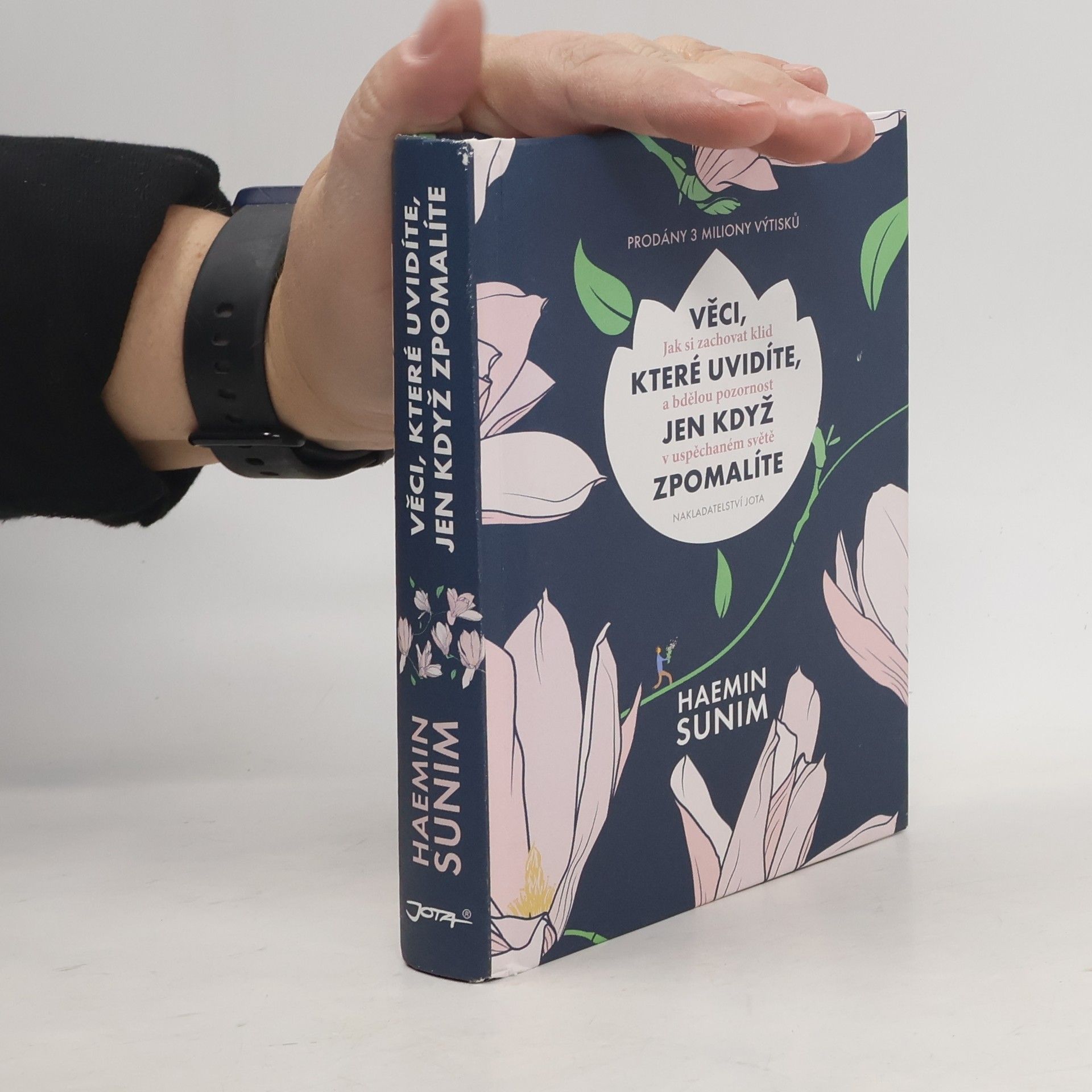 Sunim Haemin Věci, které uvidíte, jen když zpomalíte