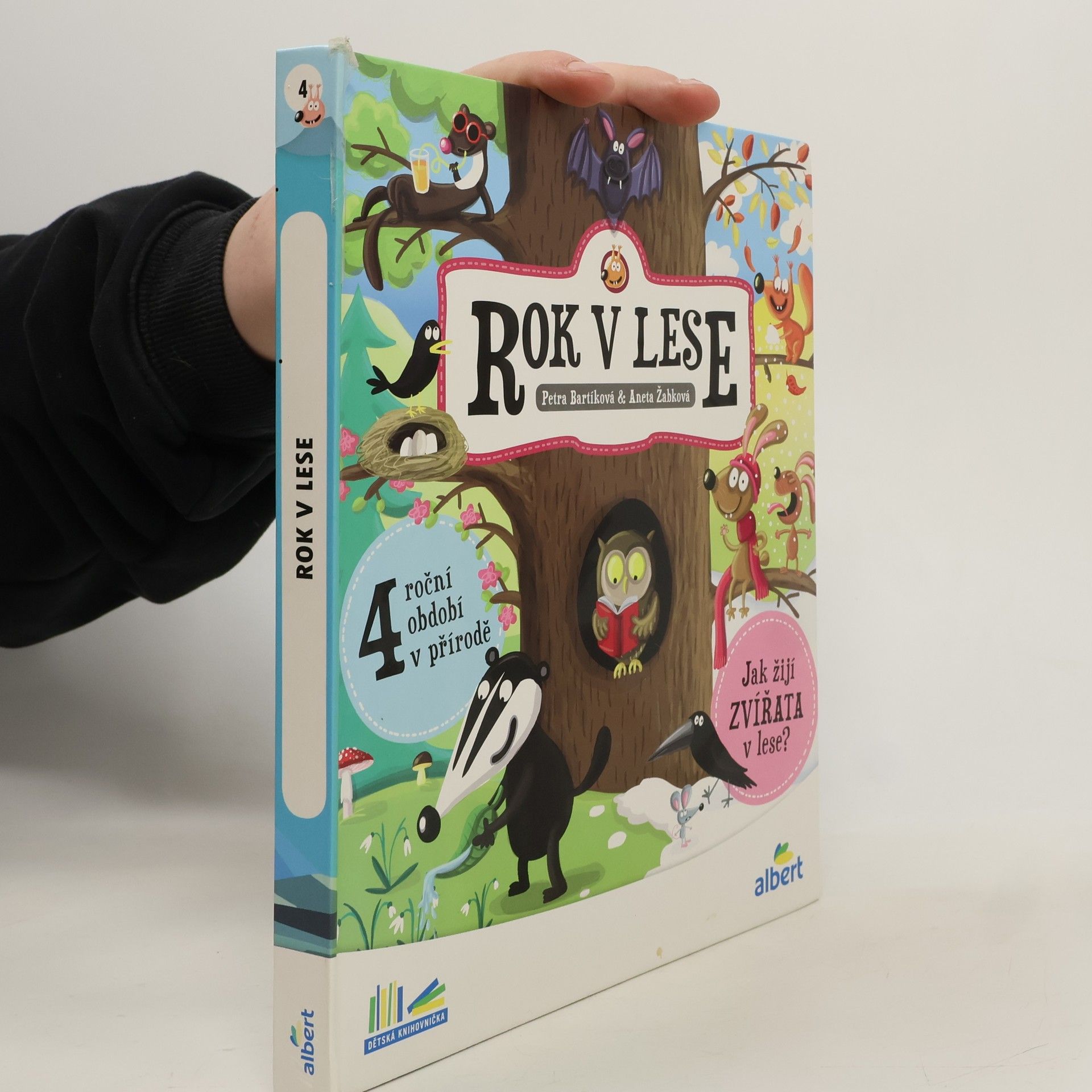 Kolektiv autorů Rok v lese