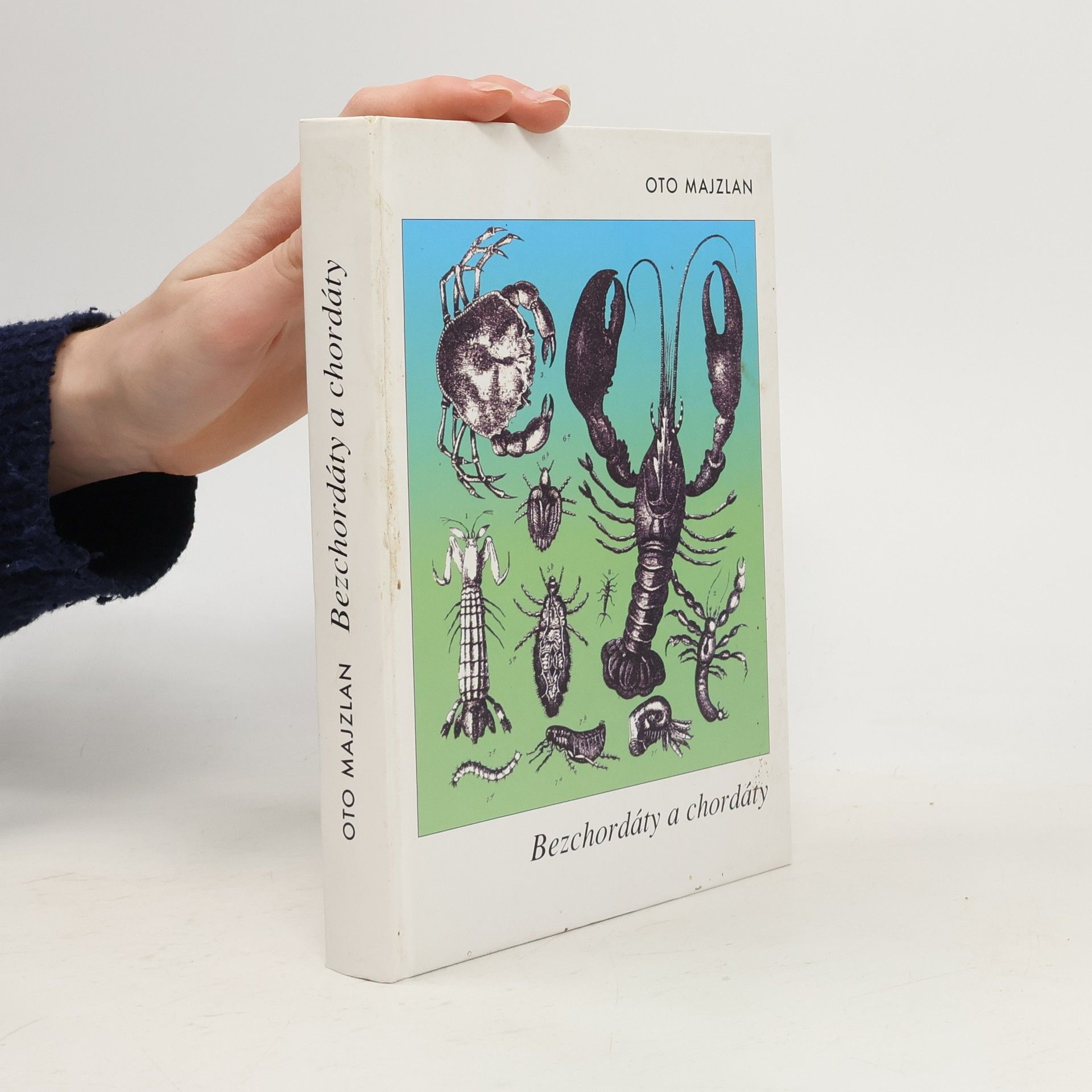 Oto Majzlan Bezchordáty a chordáty. (Vybrané kapitoly)