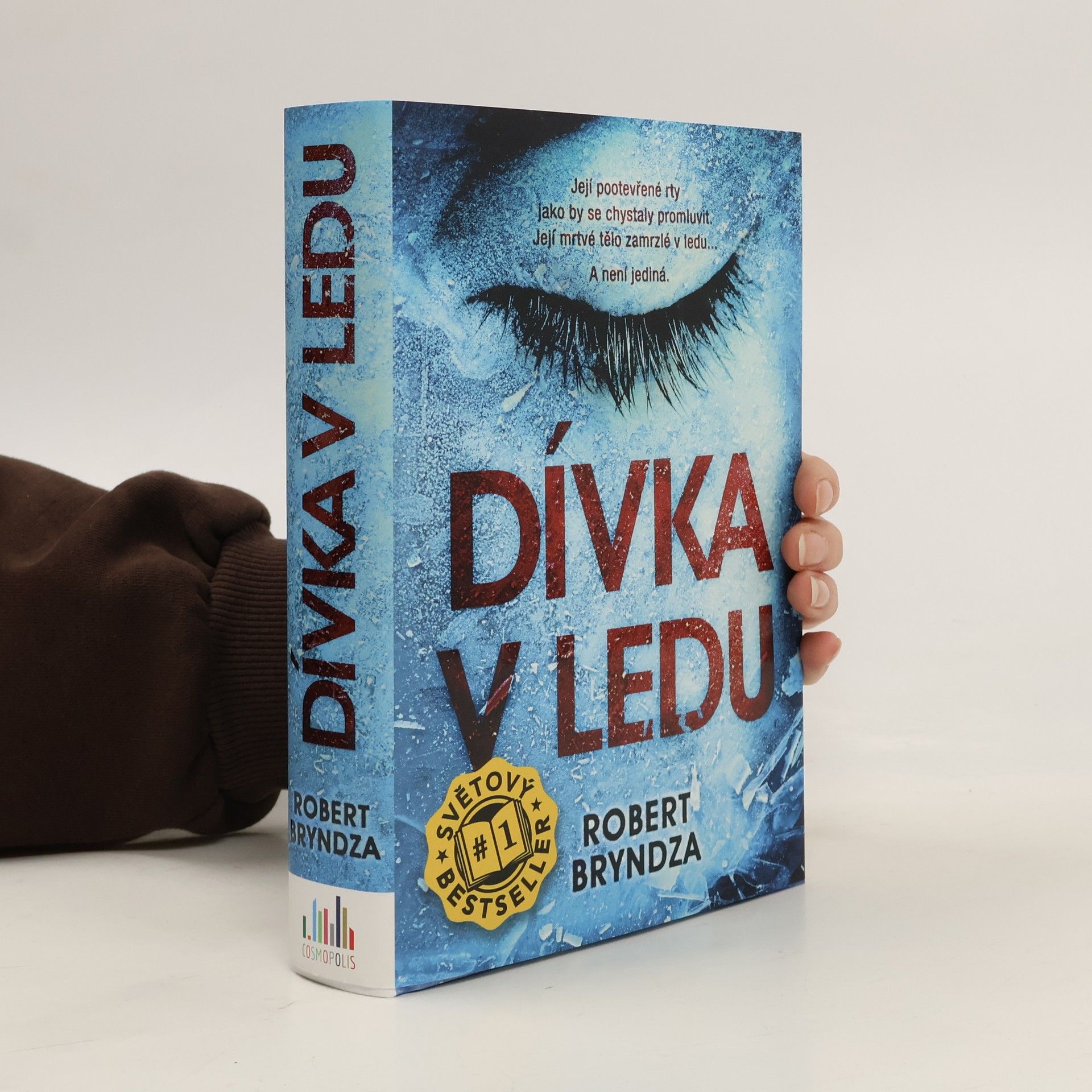 Robert Bryndza Dívka v ledu