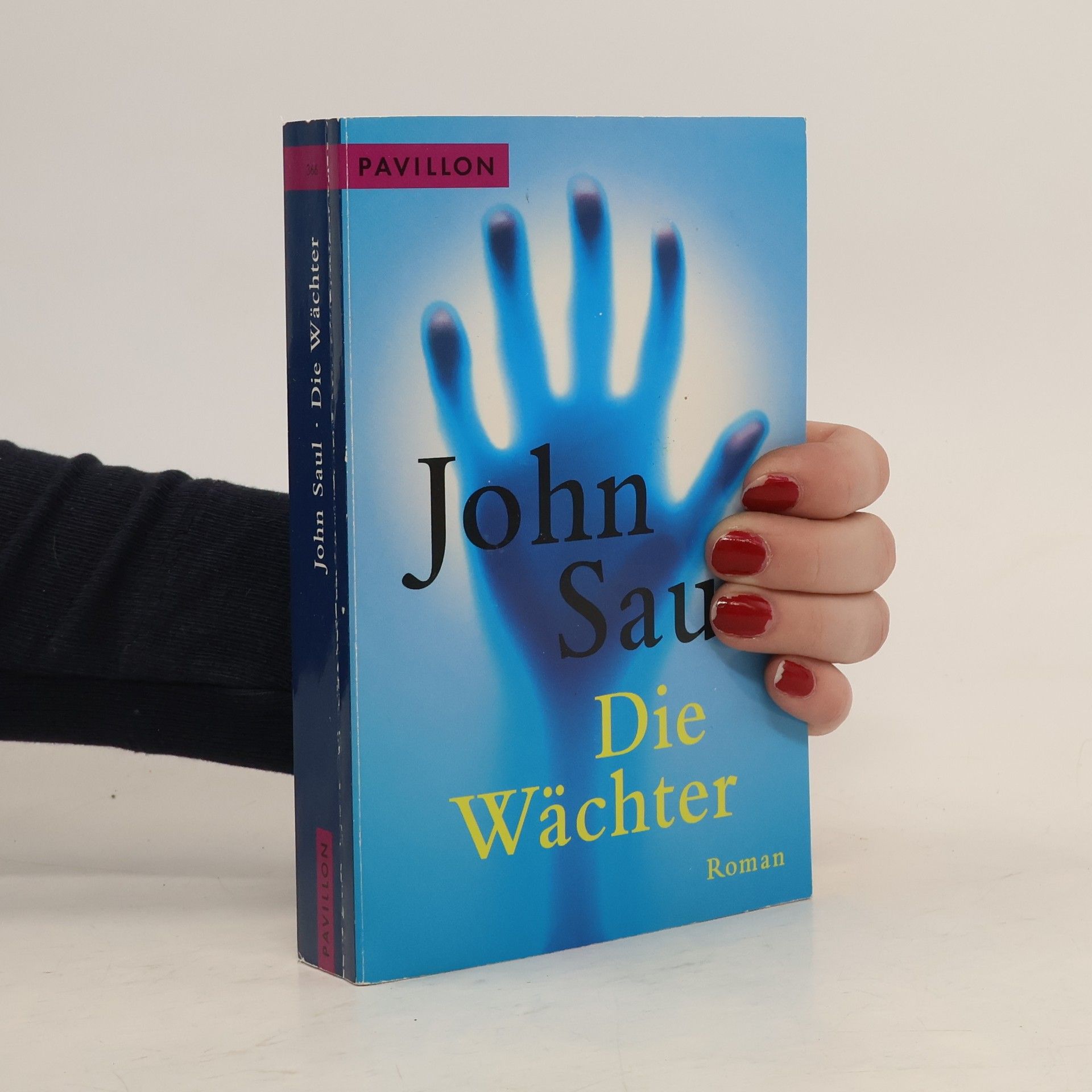 John Saul Die Wächter