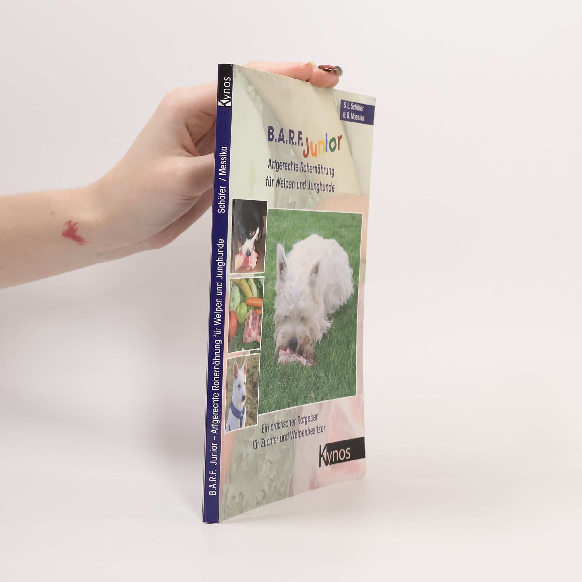 Barbara R. Messika B.A.R.F. Junior. Artgerechte Rohernährung für Welpen und Junghunde