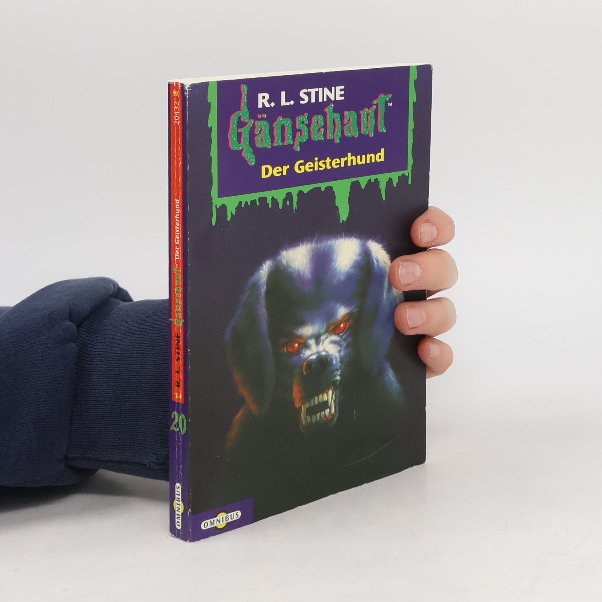 R. L. Stine Gänsehaut 20. Der Geisterhund