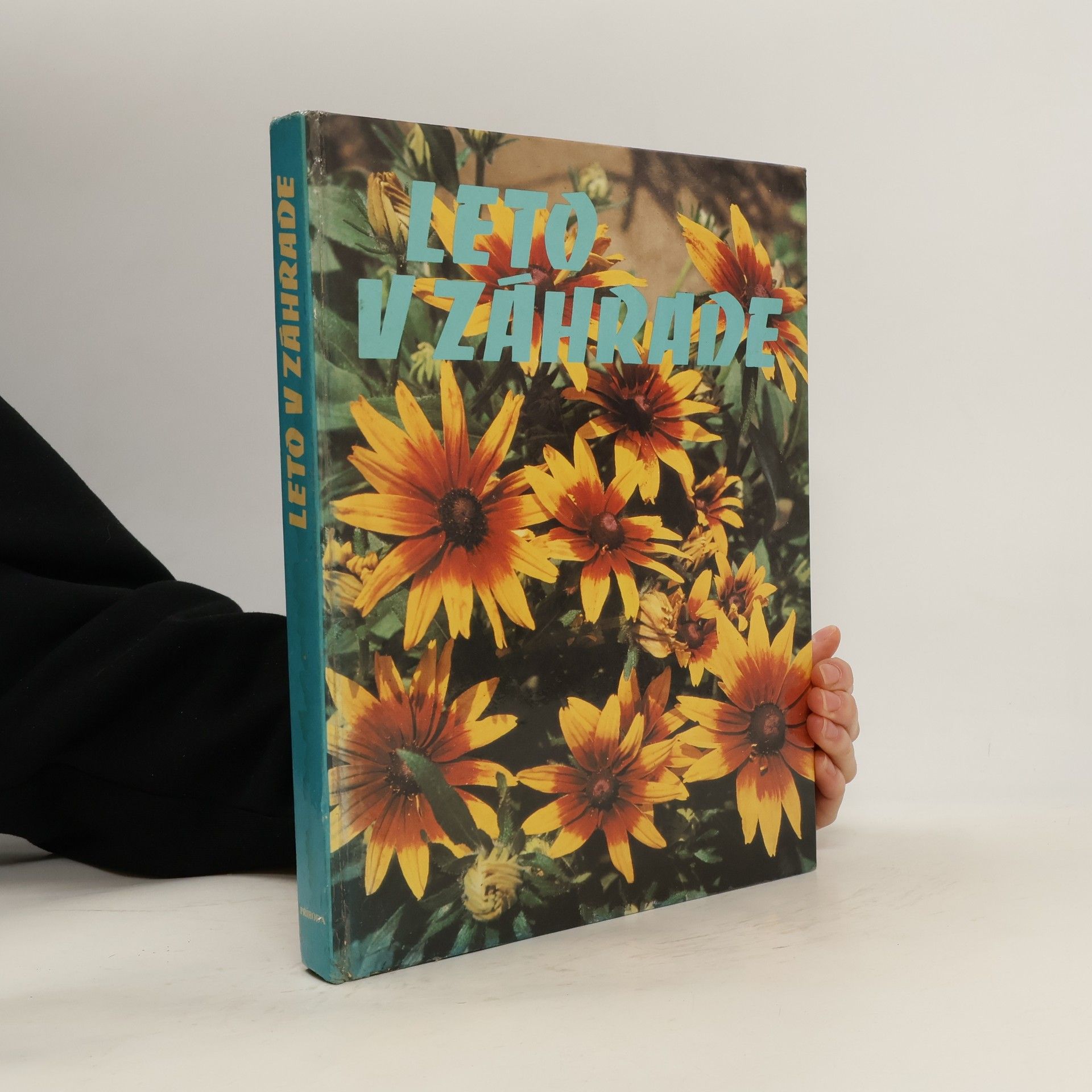 Kolektív autorov Leto v záhrade