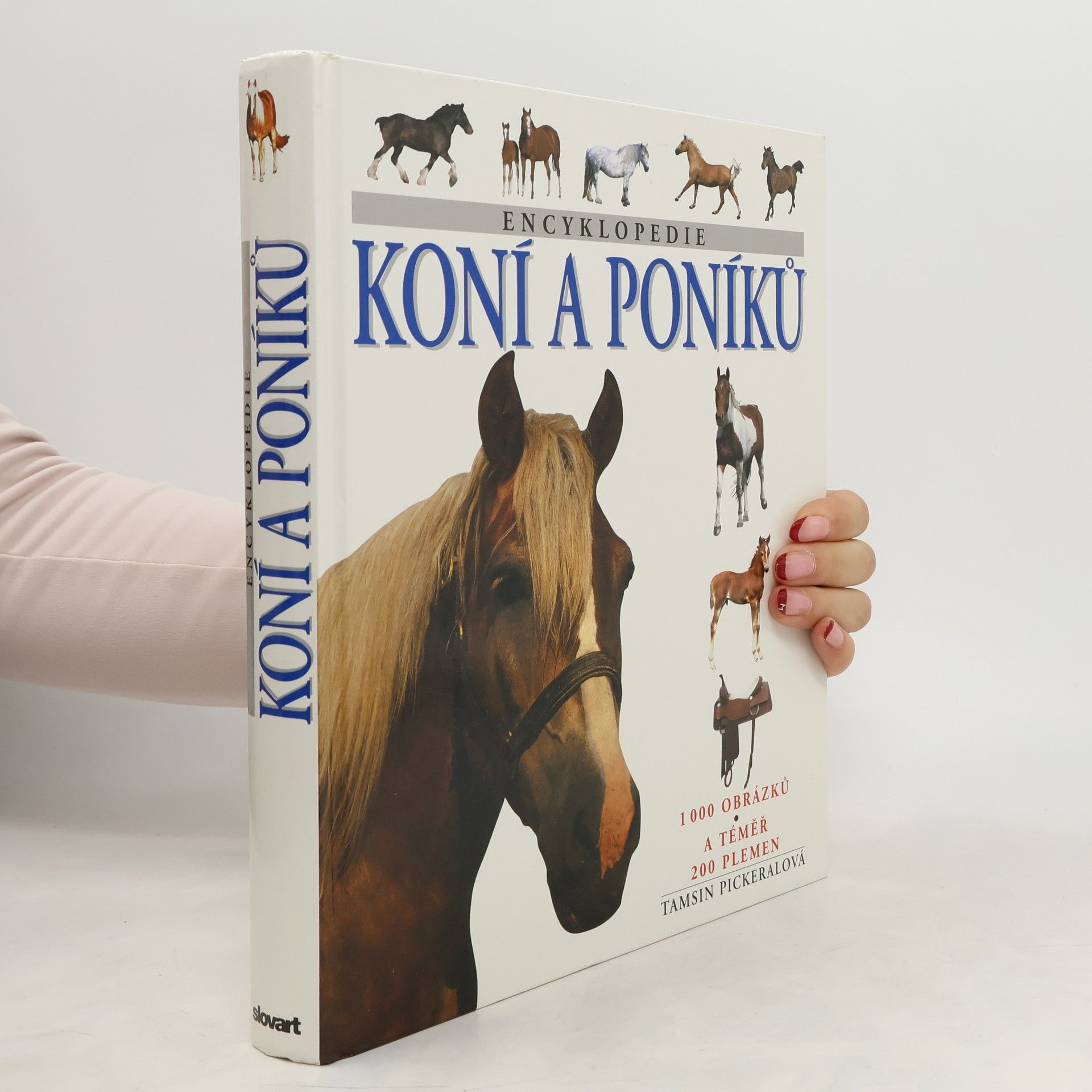 Tamsin Pickeral Encyklopedie koní a poníků