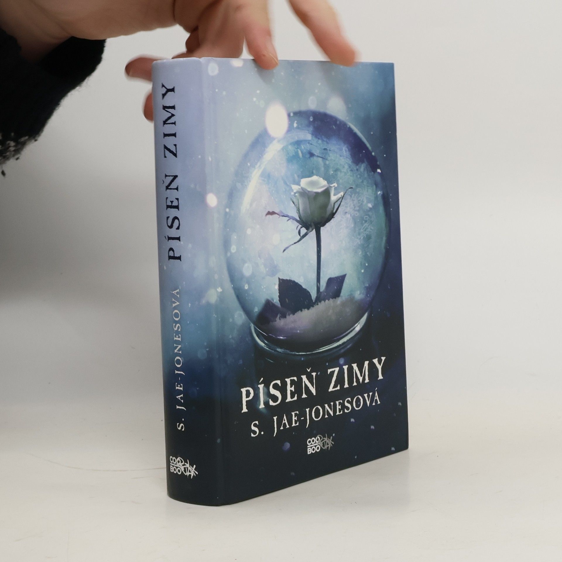 S. Jae-Jones Píseň zimy