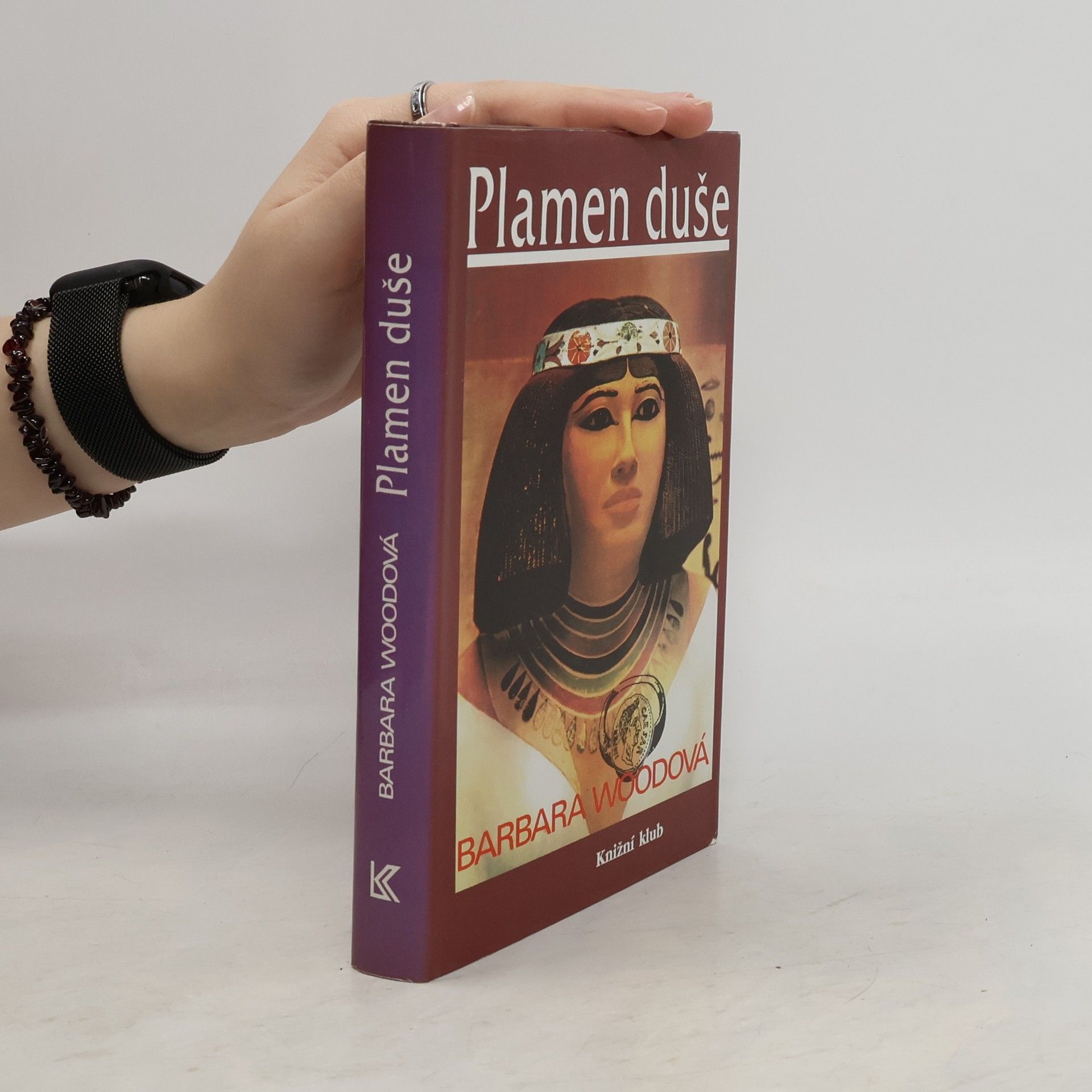 Barbara Wood Plamen duše