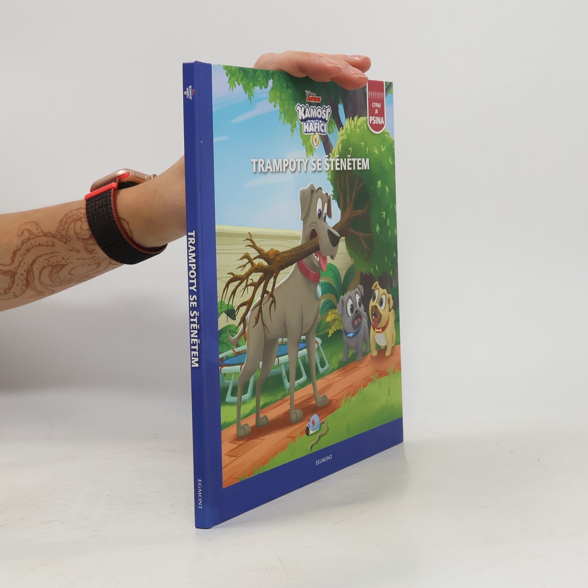 Autorenkollektiv Kámoši hafíci - Trampoty se štěnětem