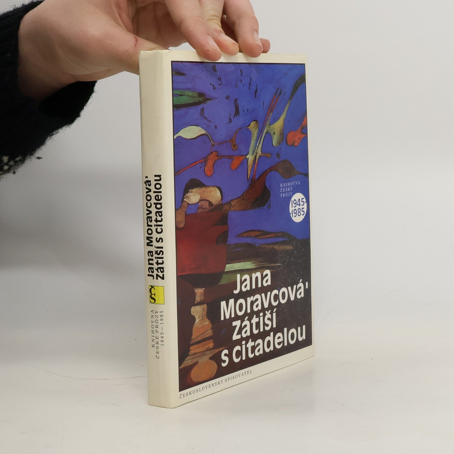 Zátiší s citadelou