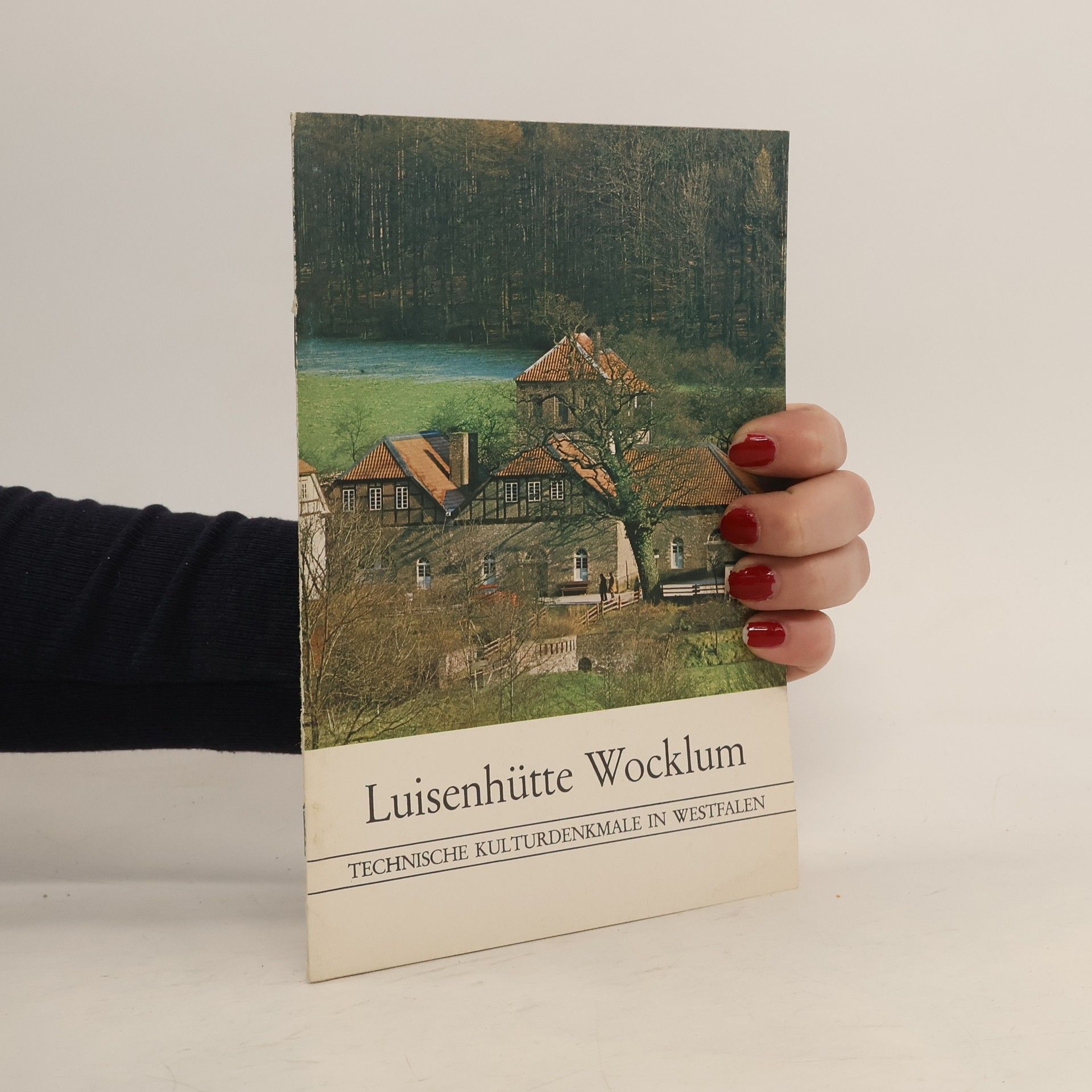 Collectif d'auteurs Luisenhütte Wocklum