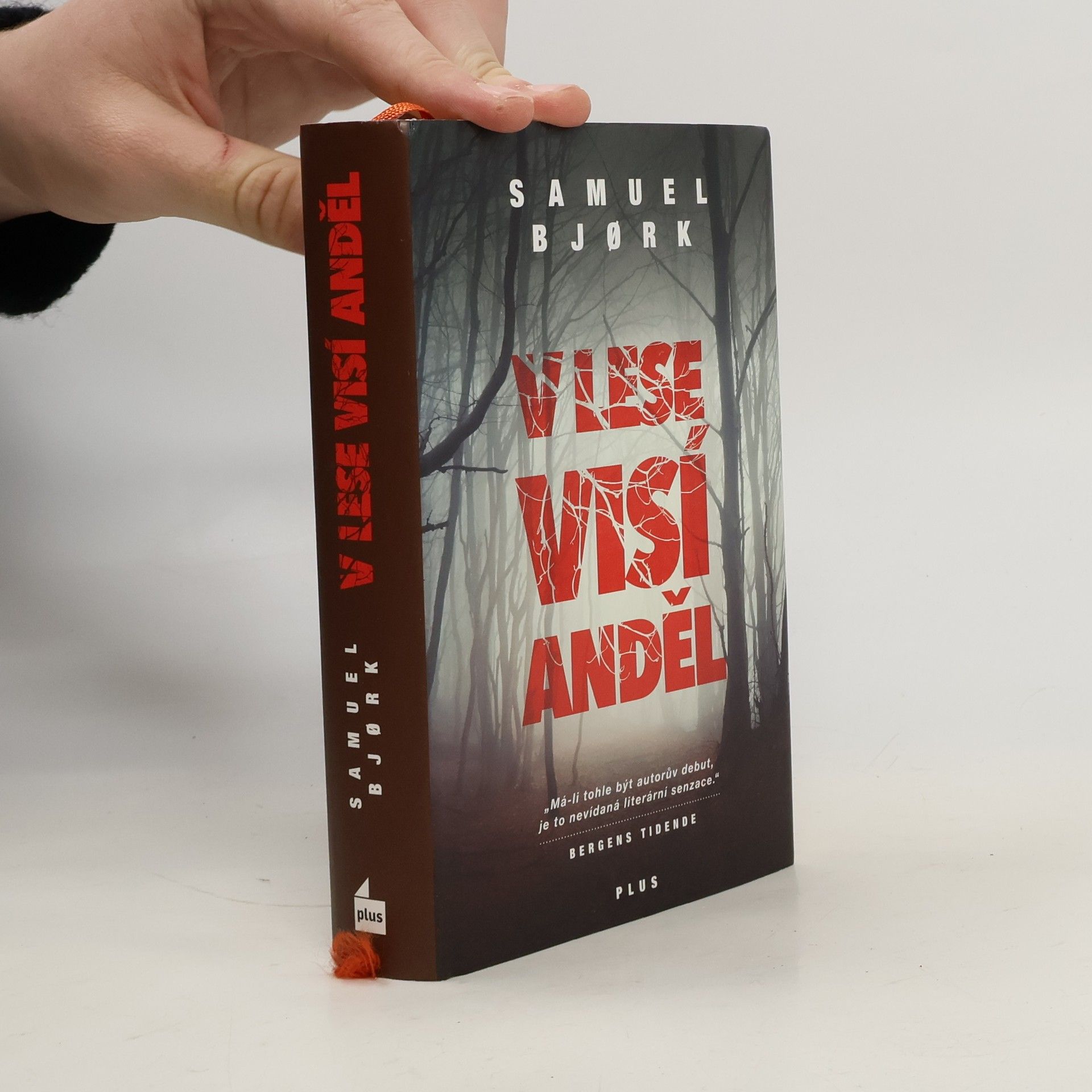 Samuel Bjork V lese visí anděl