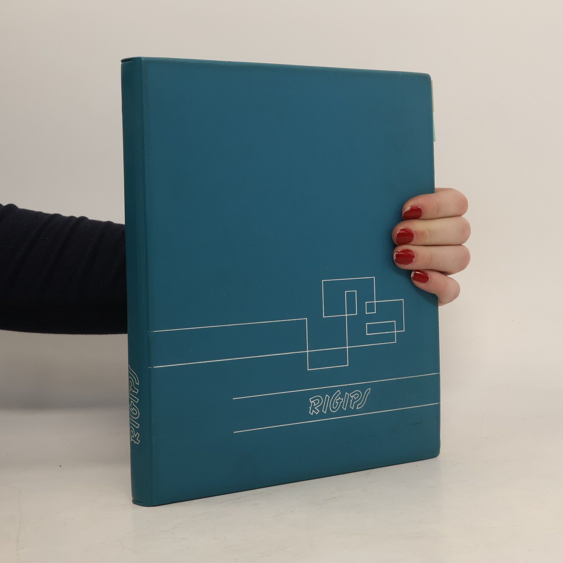 Auteurscollectief Bauen und Gestalten mit Rigips