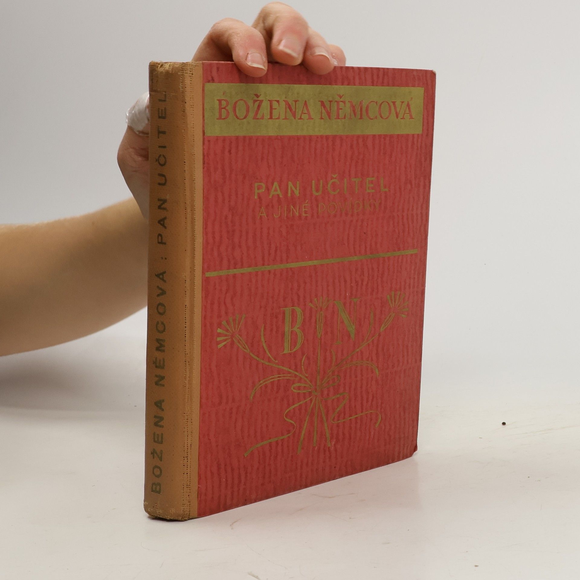 Božena Němcová Pan učitel. Chýše pod horami. Divá Bára. Rozárka (v jednom svazku)