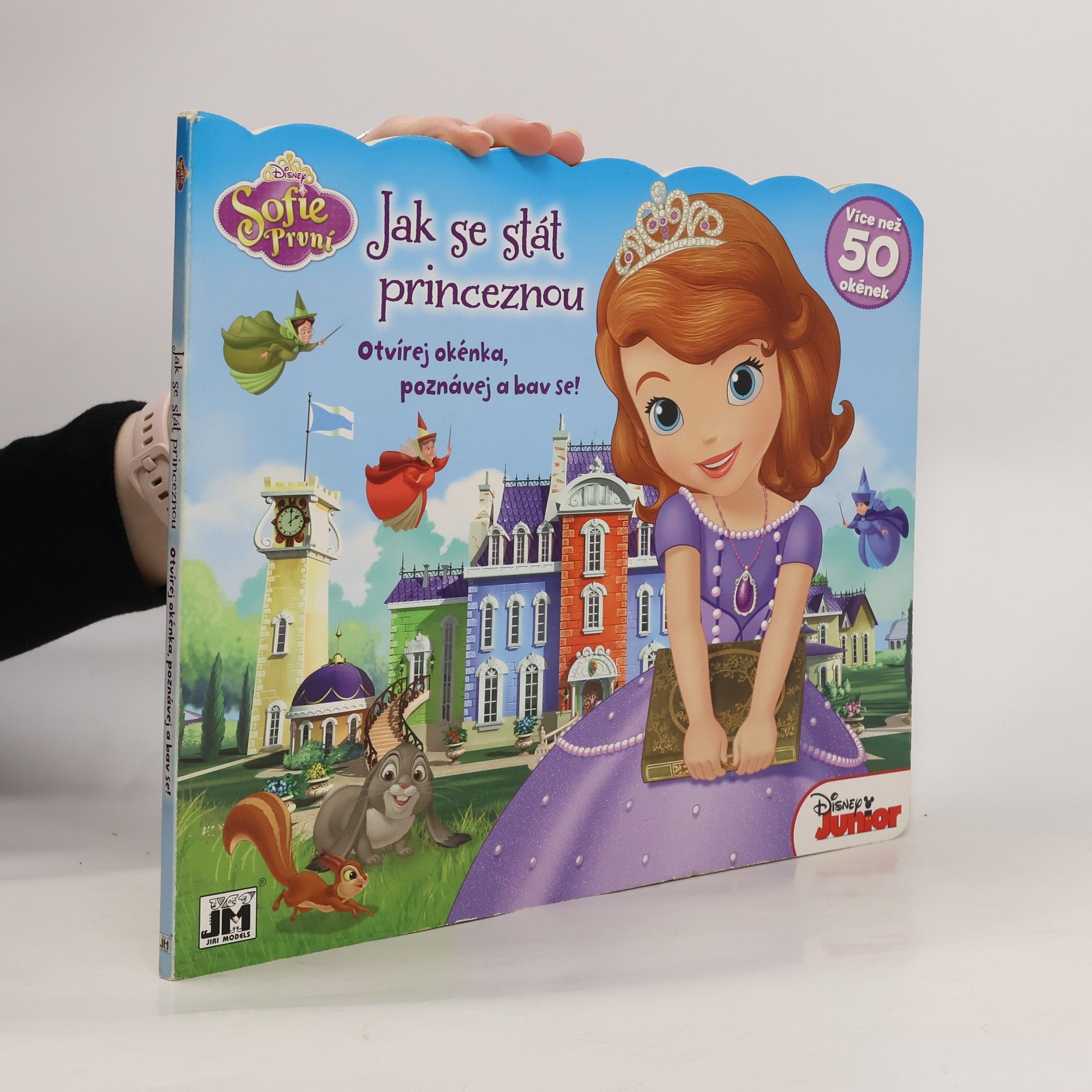 Kolektiv autorů Jak se stát princeznou