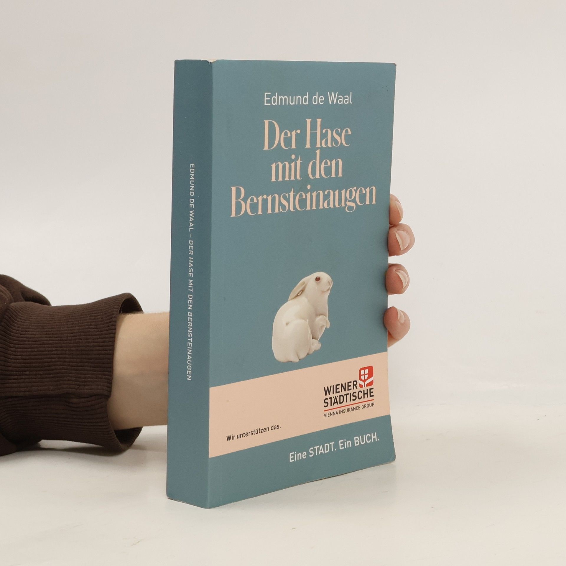 Edmund de Waal Der Hase mit den Bernsteinaugen