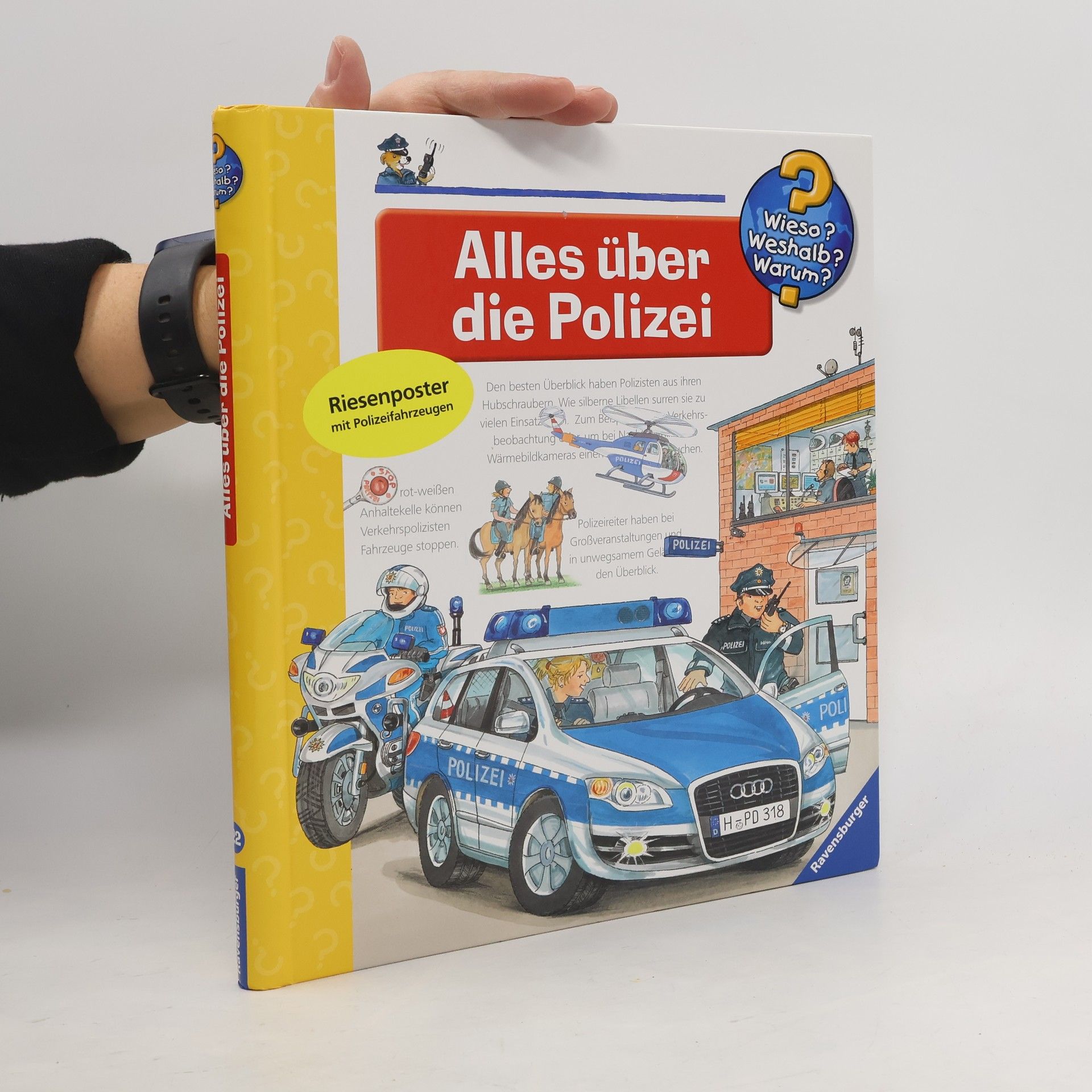 Andrea Erne Alles über die Polizei