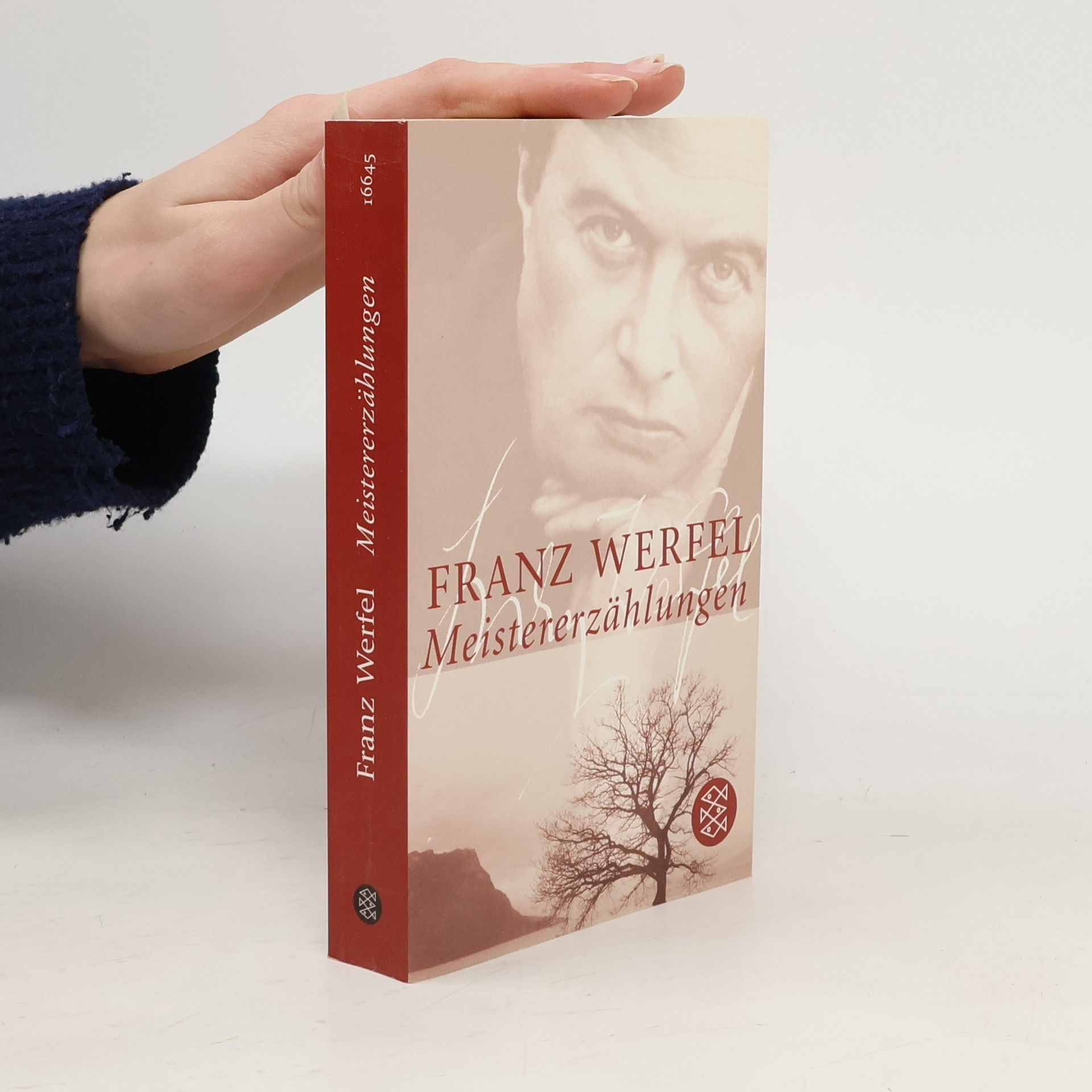 Franz Werfel Meistererzählungen