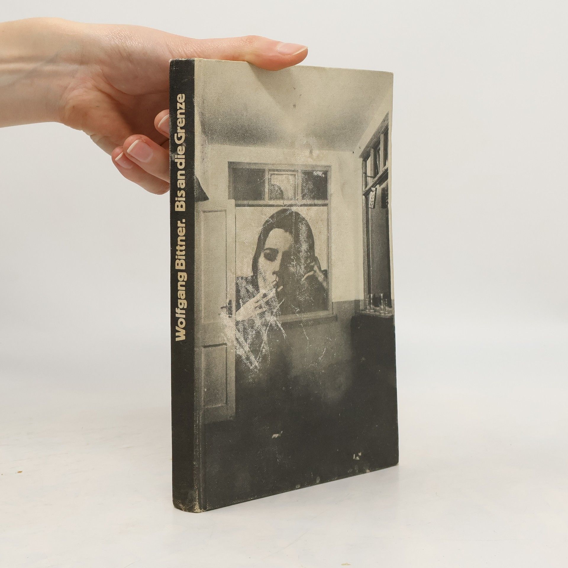 Wolfgang Bittner Bis an die Grenze