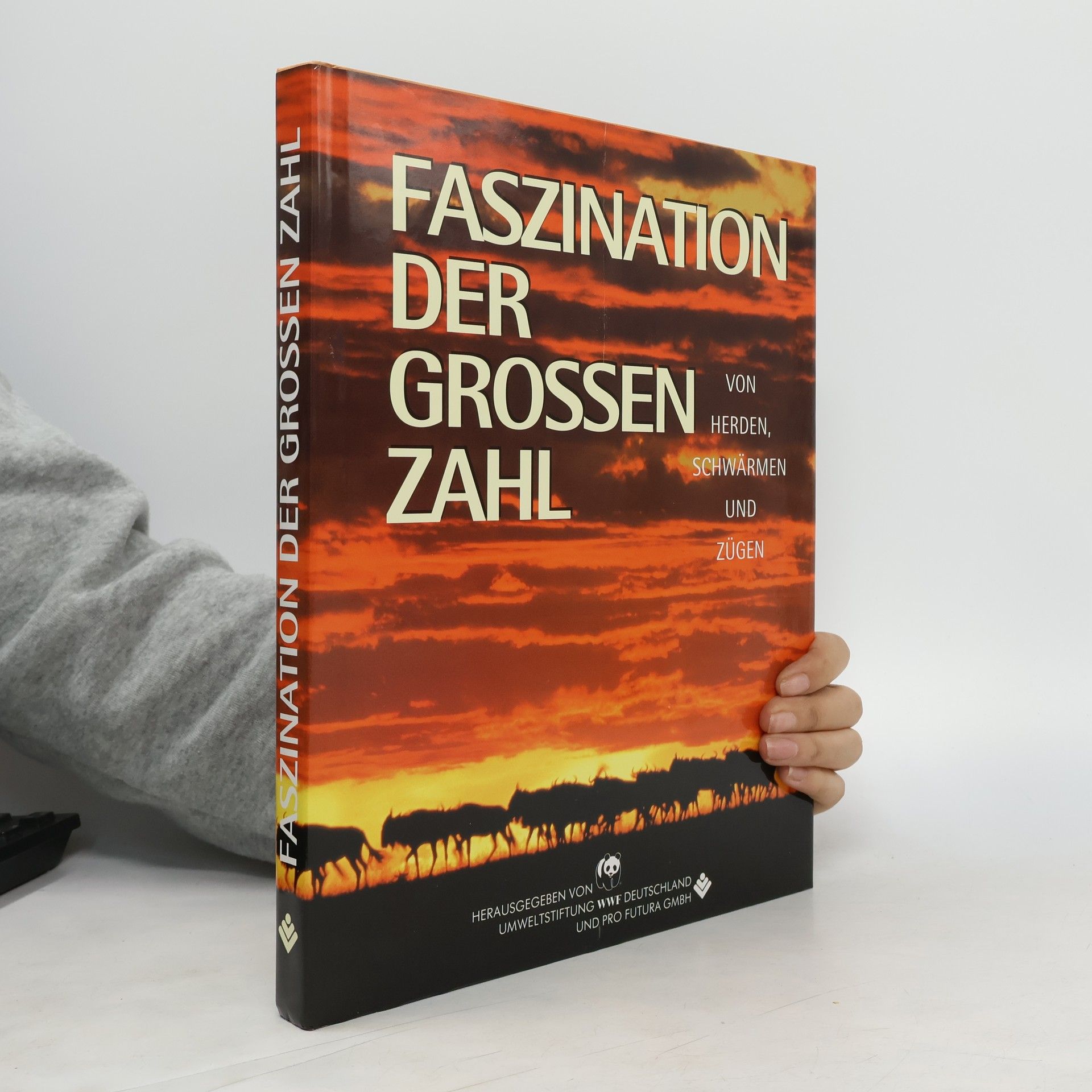 Collectif d'auteurs Faszination der grossen zahl