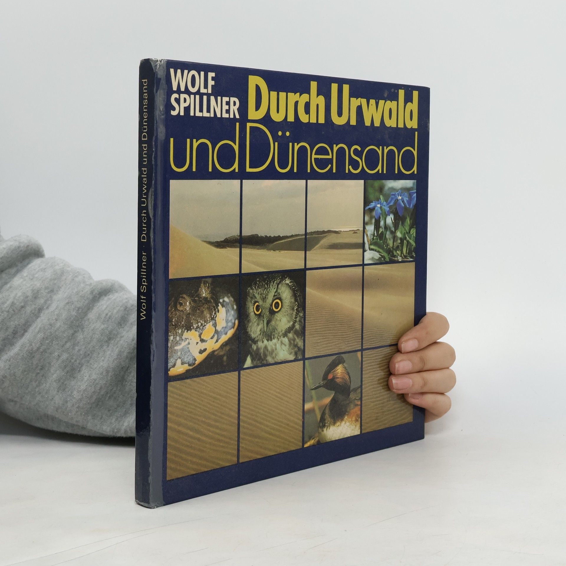 Wolf Spillner Durch Urwald und Dünensand