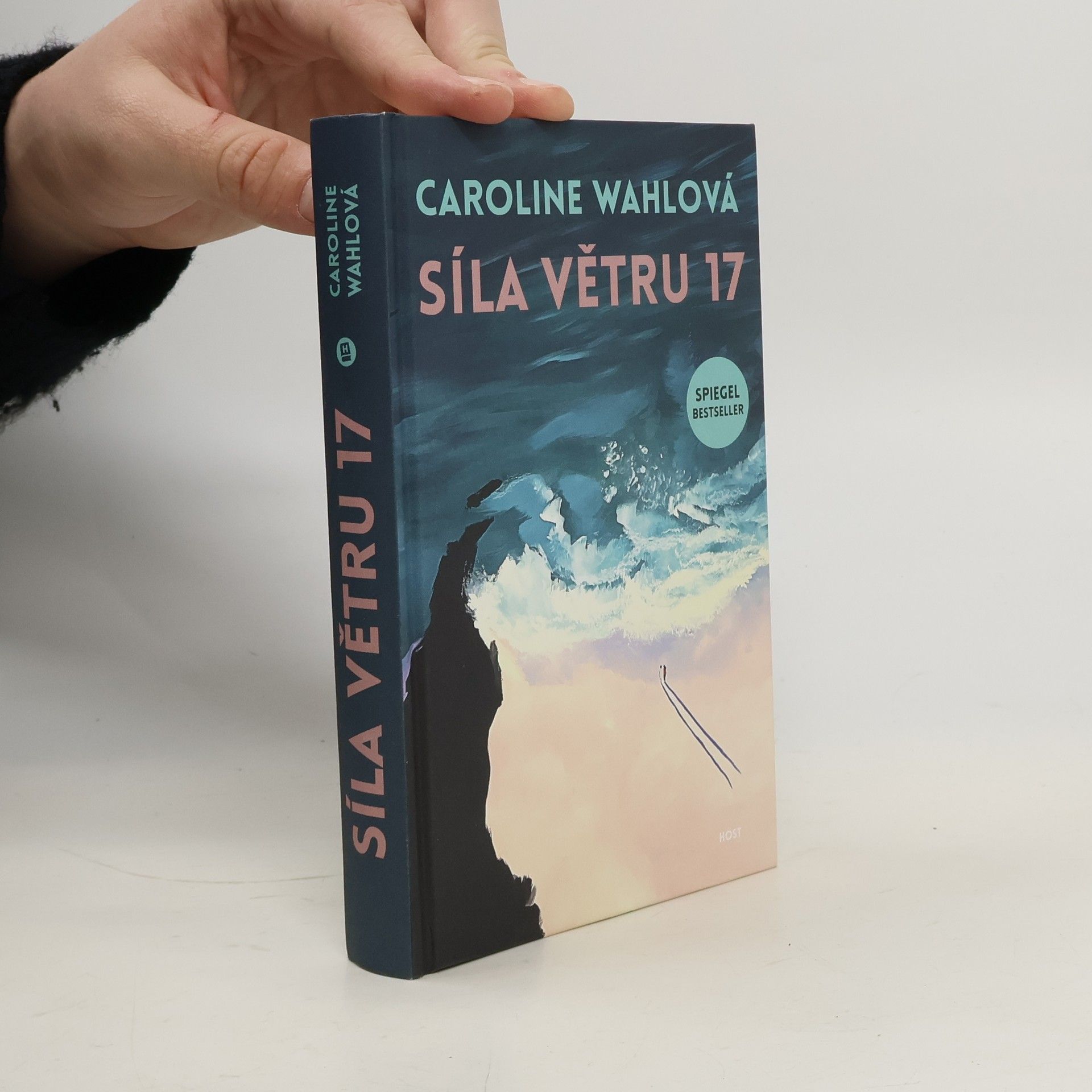 Caroline Wahl Síla větru 17